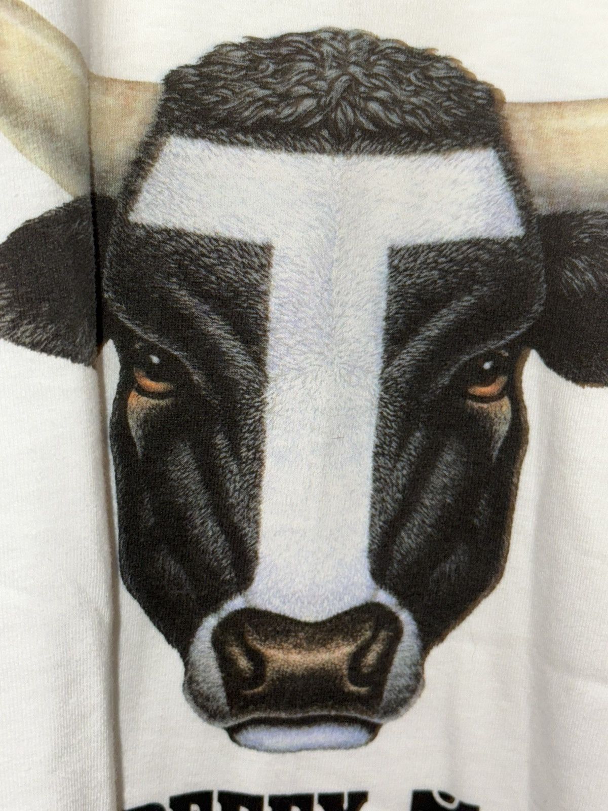 Hanes Vintage 90’s Hanes Graphic Beefy Cow Short Sleeve T Shirt XL Size US XL / EU 56 / 4 - 12 Thumbnail