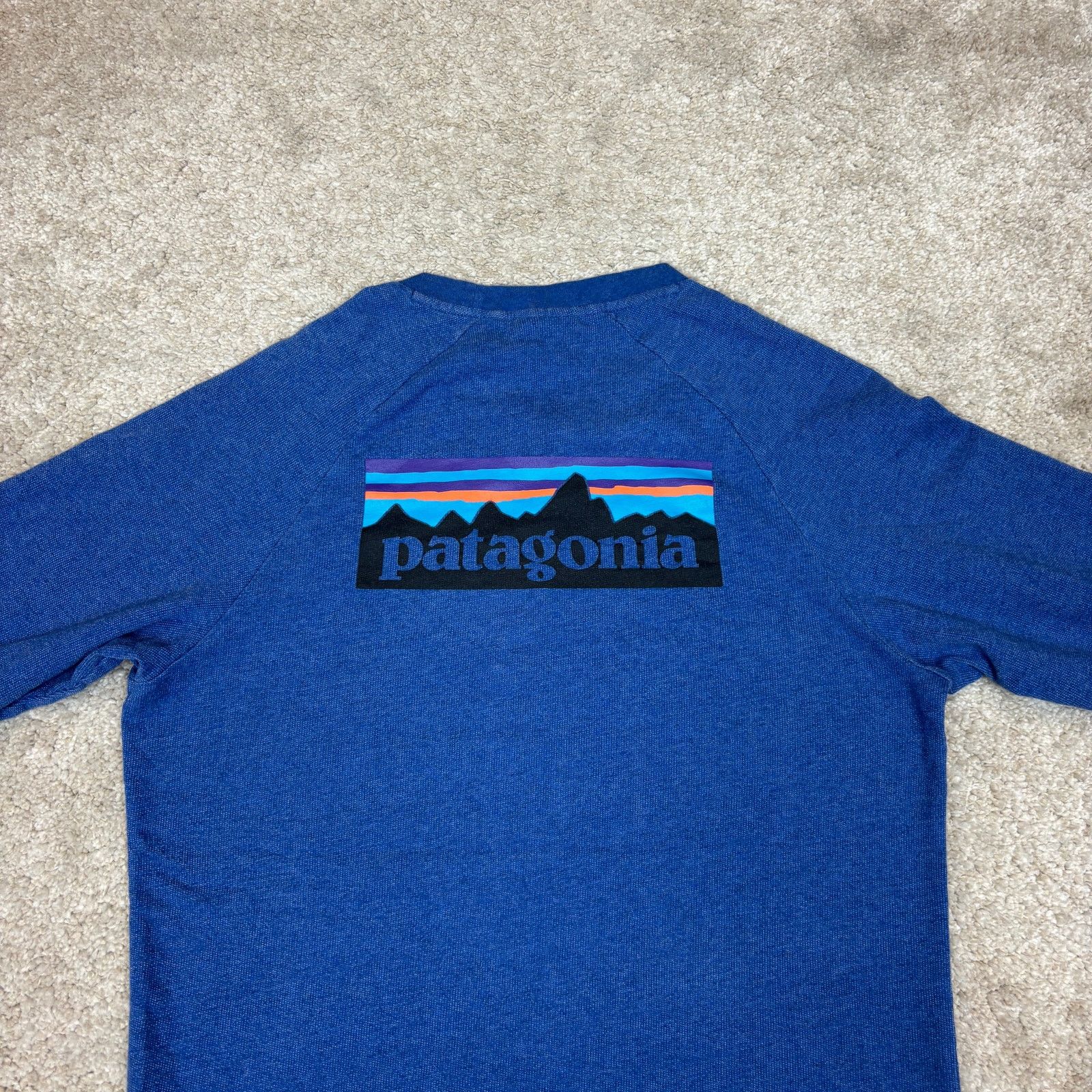 Patagonia Patagonia p-6 Logo Raglan Crew Sweatshirt Men's Small Size US S / EU 44-46 / 1 - 4 Thumbnail