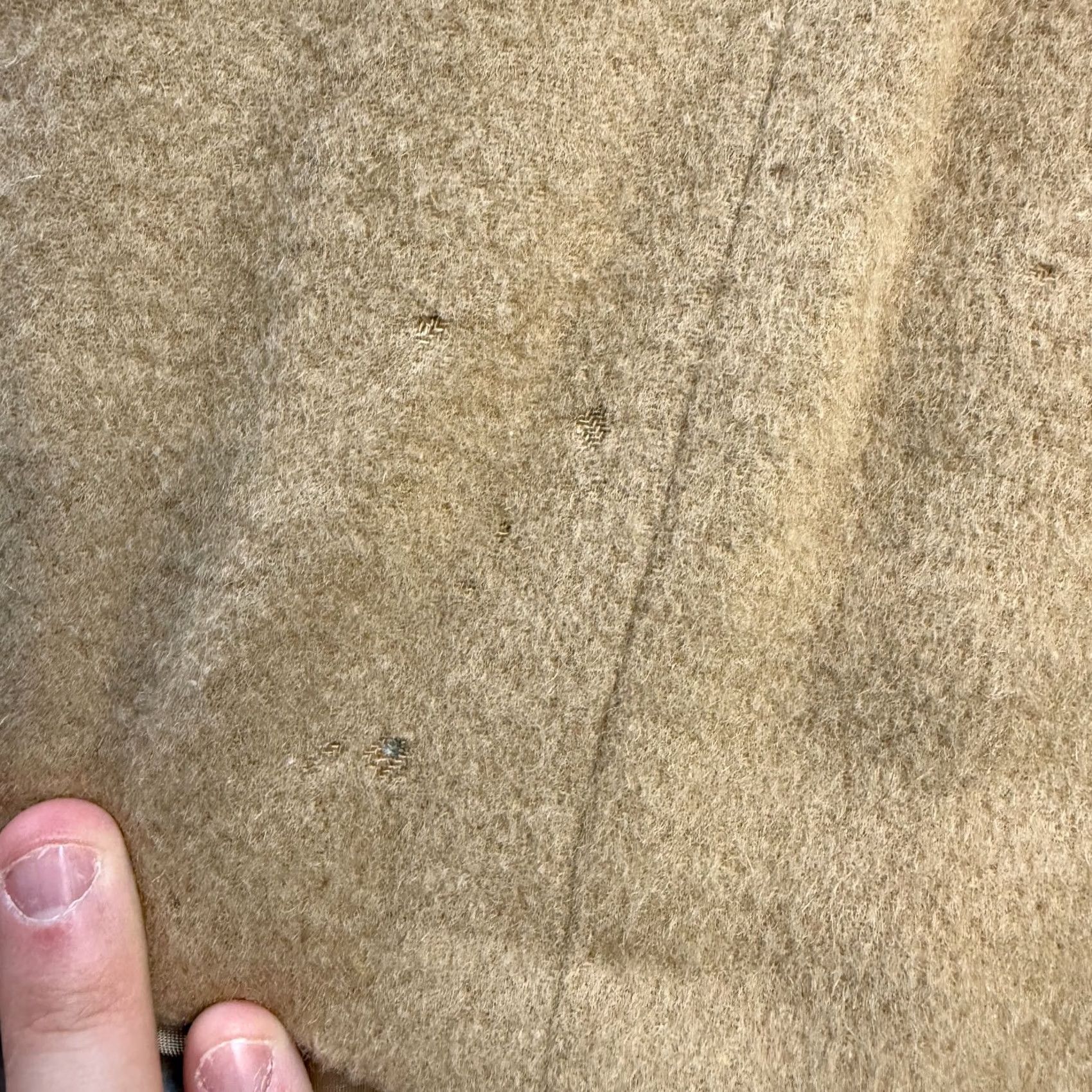 Nordstrom VTG Nordstrom Camel Hair Blazer Jacket Men's 50L Beige Solid Single-Breasted 2-Button Notch Lapel Old Money Academia Coat/Blazer Mens Size 50R - 4 Thumbnail
