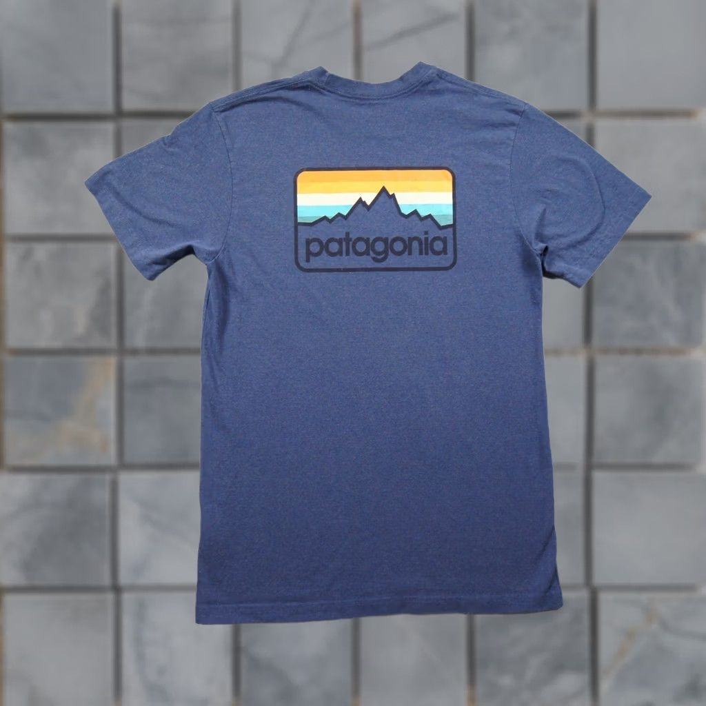 Patagonia Patagonia Shirt Mens Medium Blue Graphic Tee Short Sleeve Outdoors Hike Casual Size US M / EU 48-50 / 2 - 1 Thumbnail