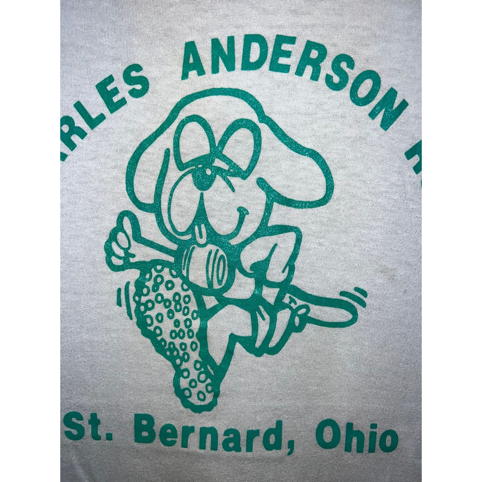 Jerzees Vintage St Bernard Shirt Charles Anderson Run Ohio Tee 90s M Size US M / EU 48-50 / 2 - 3 Thumbnail