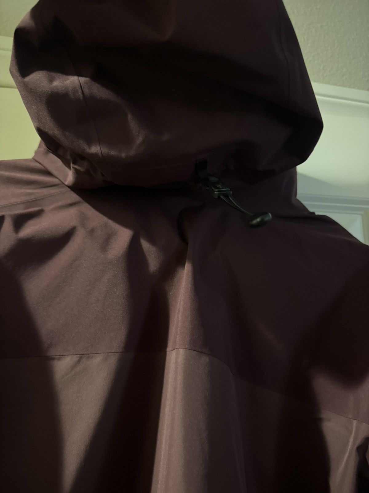 Arc'teryx Beta AR Rhapsody Size US M / EU 48-50 / 2 - 8 Thumbnail
