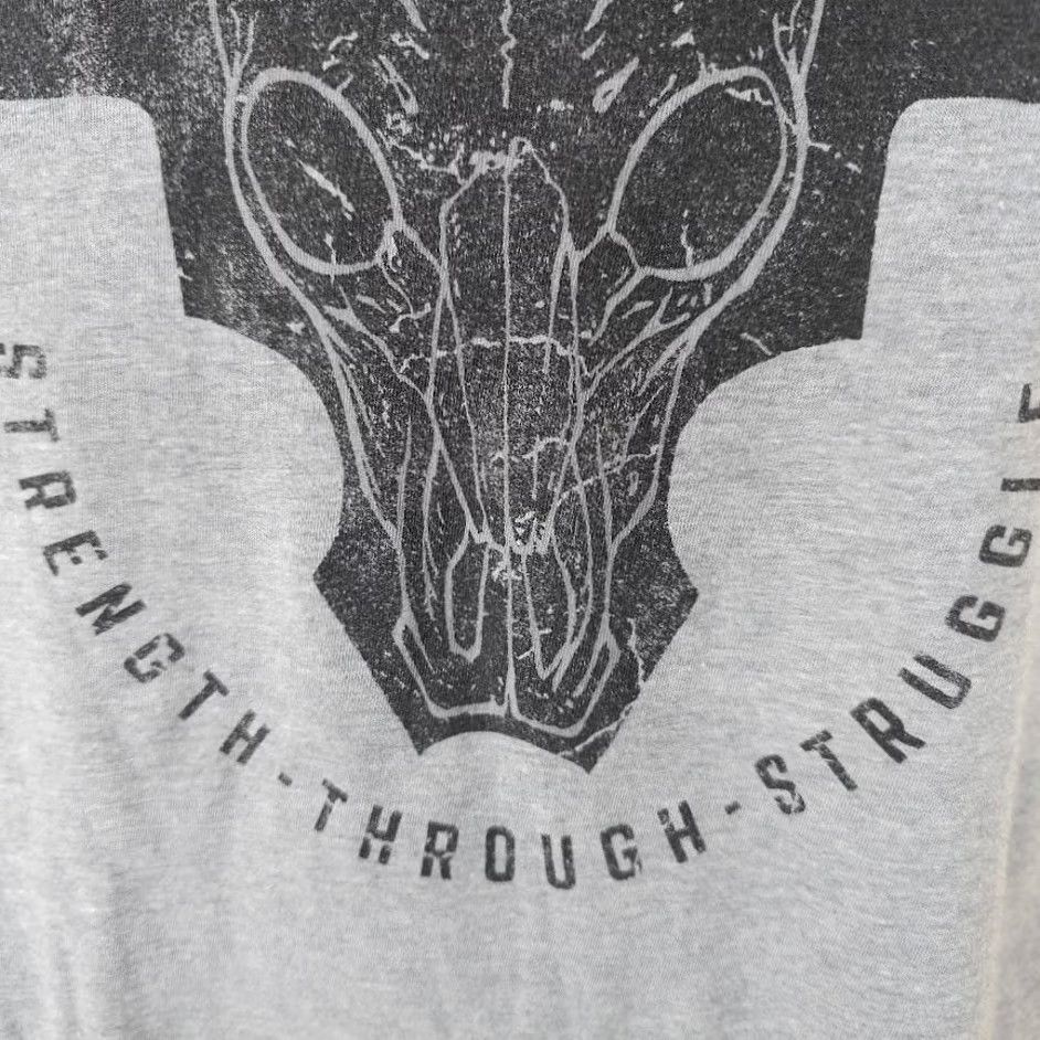 Under Armour Under Armour Project Rock T Shirt Mens Small Gray Progress Through Pain Shirt Mens Small GrayUASupervised? Size US S / EU 44-46 / 1 - 4 Thumbnail