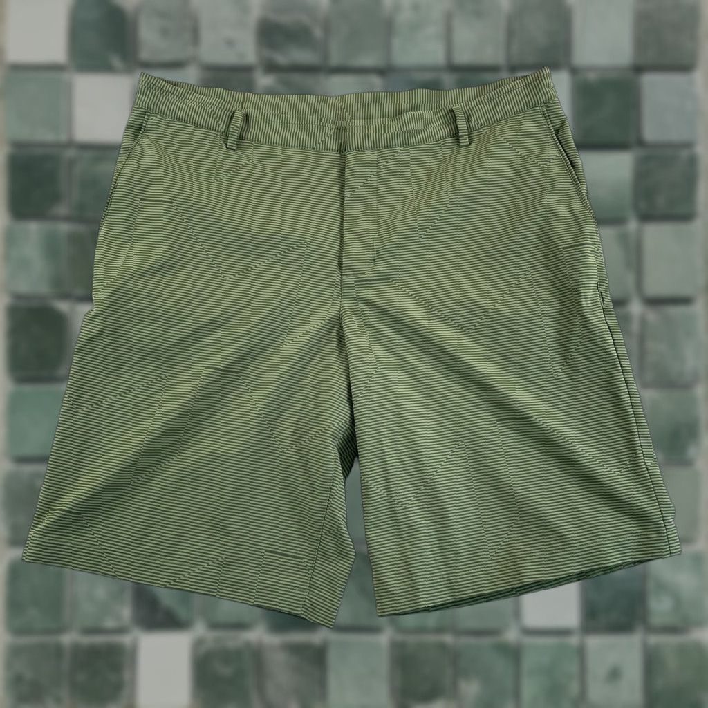Nike Nike Golf Shorts Mens 36 Green Striped Performance Wicking Dri Fit NWOT Size US 36 / EU 52 - 1 Thumbnail
