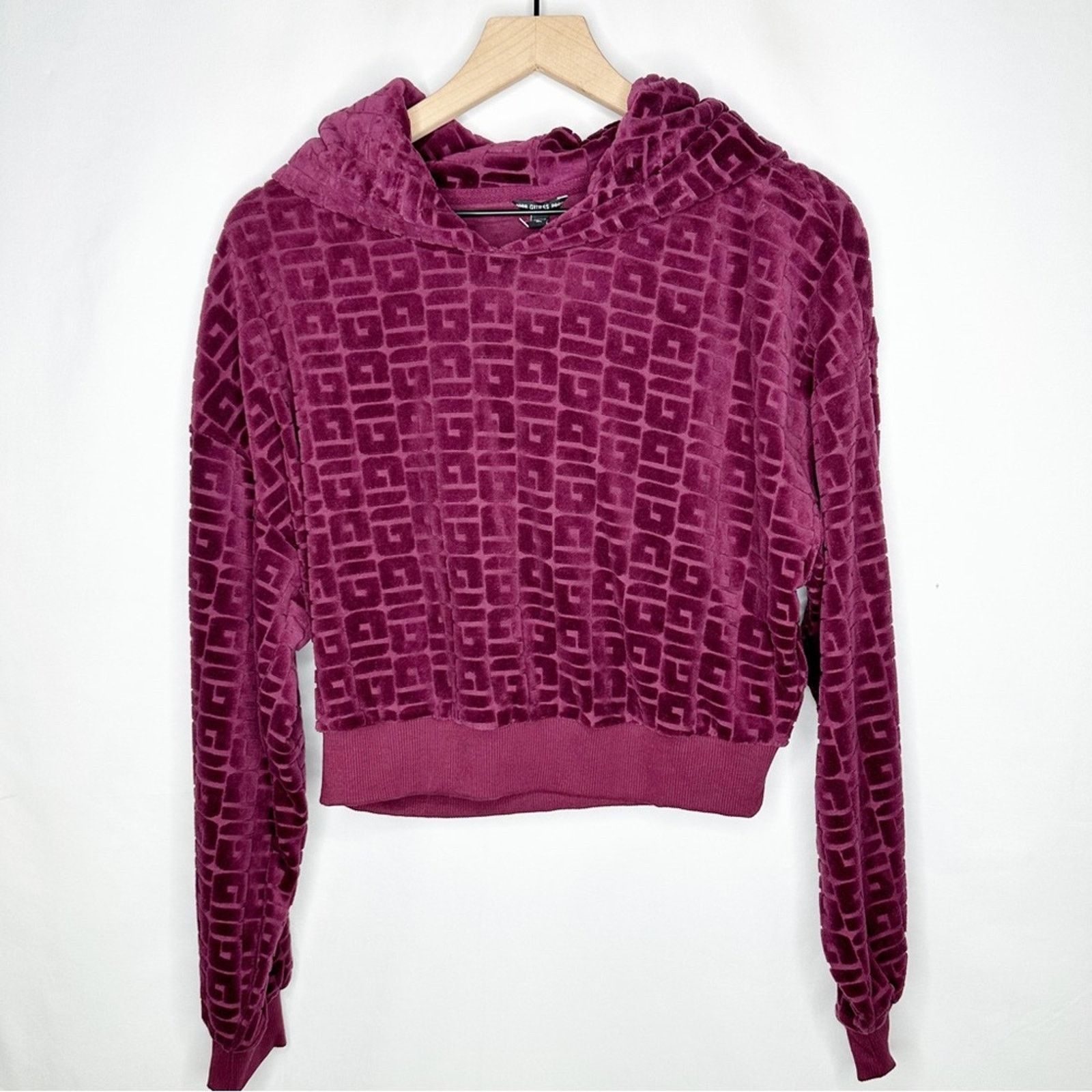 Guess GUESS After Party Cropped Hoodie NWT in Medium Size M / US 6-8 / IT 42-44 - 1 Thumbnail