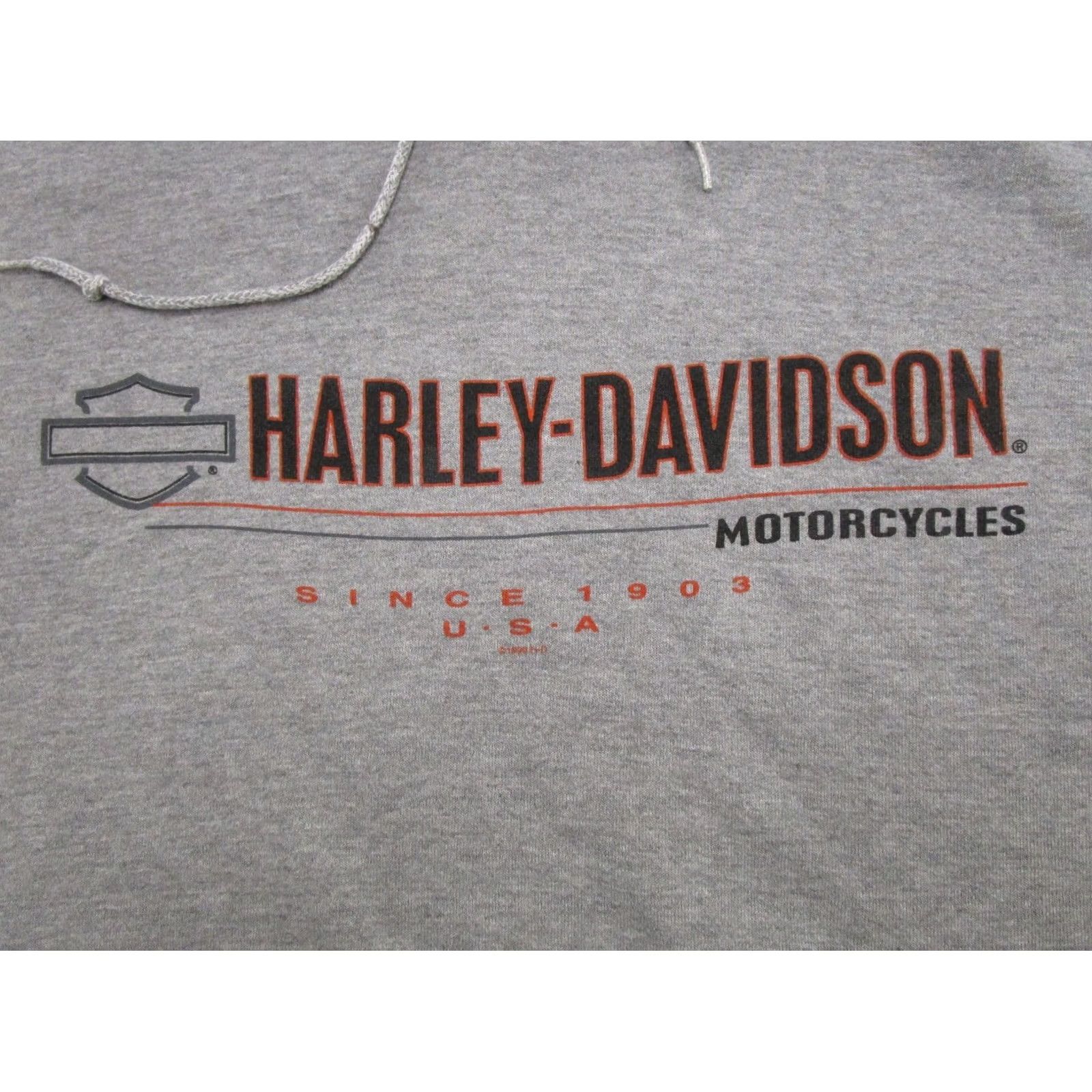 Harley Davidson VINTAGE Harley-Davidson Pullover Hoodie Mens Gray 90s Alaska Graphic Print Hooded Pockets Crew Neck Size L Size US L / EU 52-54 / 3 - 2 Thumbnail