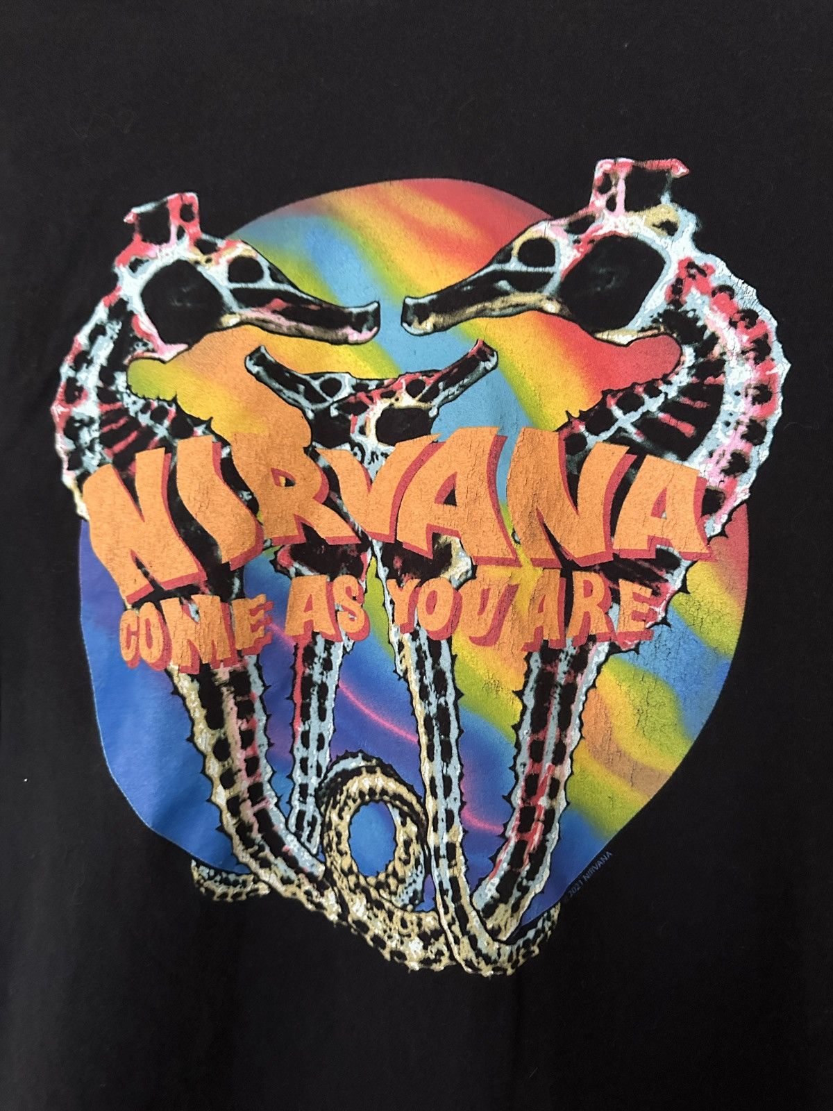 Band Tees Nirvana Come as You Are Seahorse Graphic Tee Size US L / EU 52-54 / 3 - 2 Thumbnail