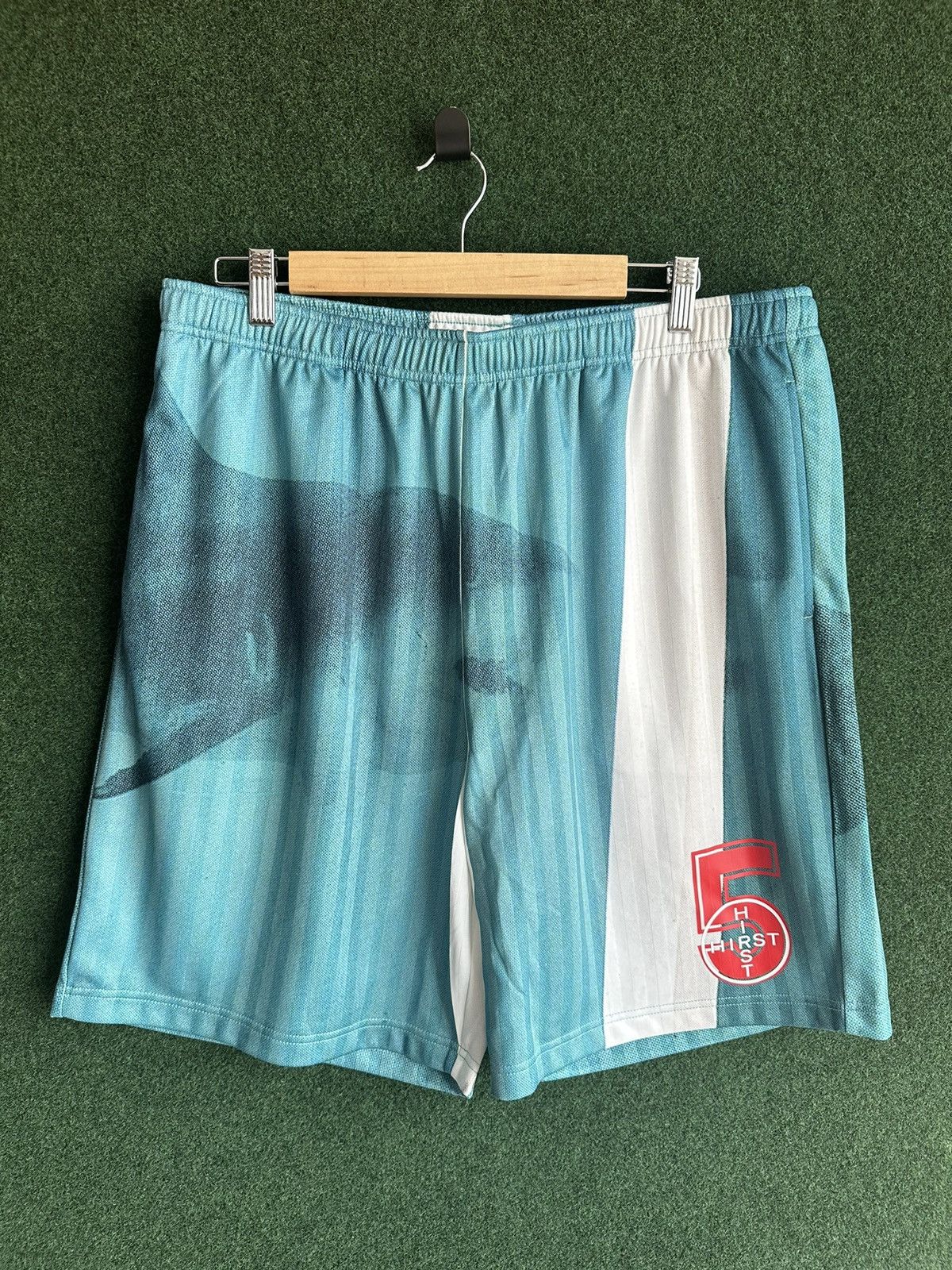 Damien Hirst × Supreme Supreme Damien Hirst Shorts Size Large