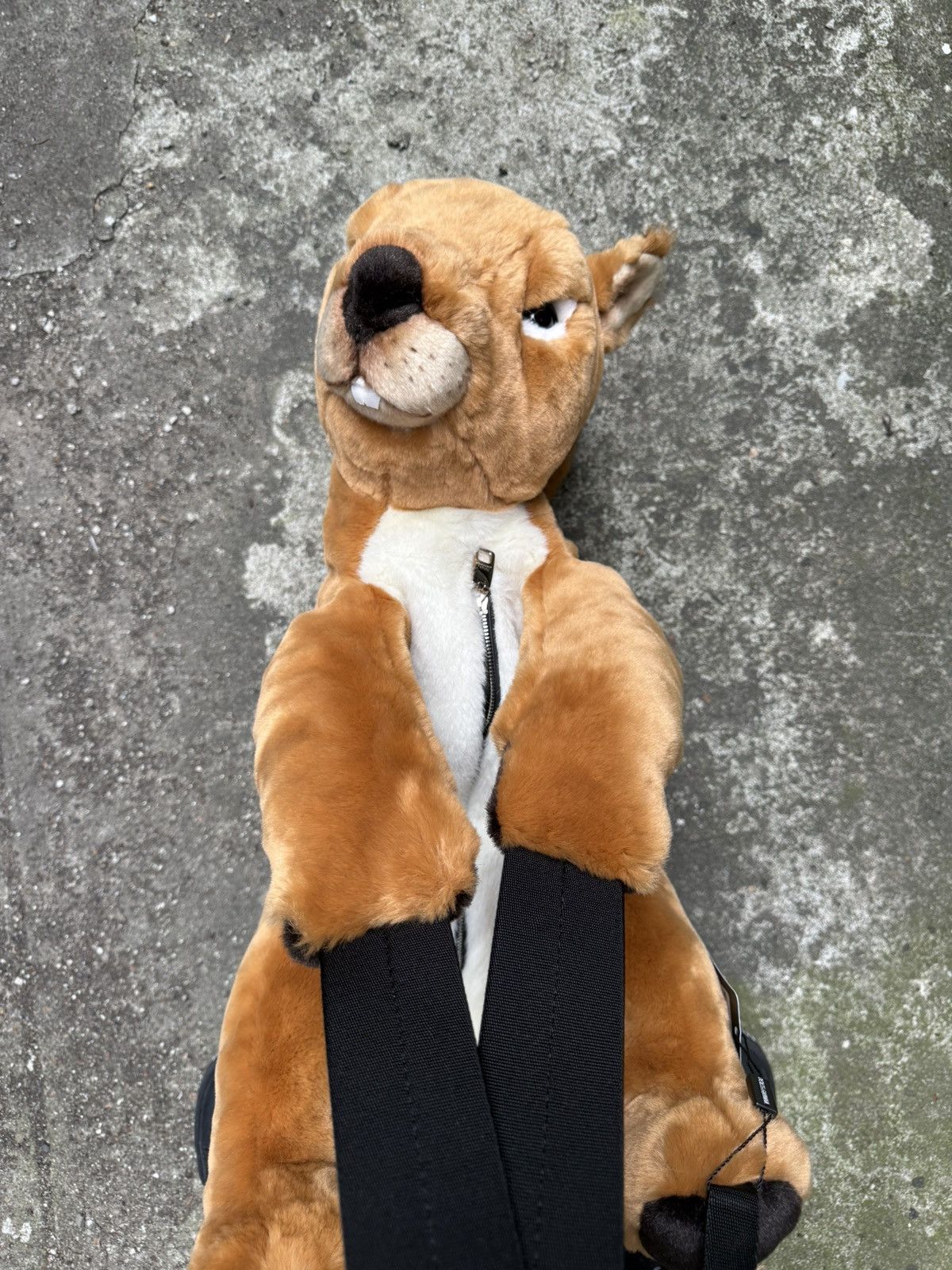 Dolce & Gabbana Dolce & Gabbana Squirrel Backpack 🐿️ 🎒 Size ONE SIZE - 4 Thumbnail
