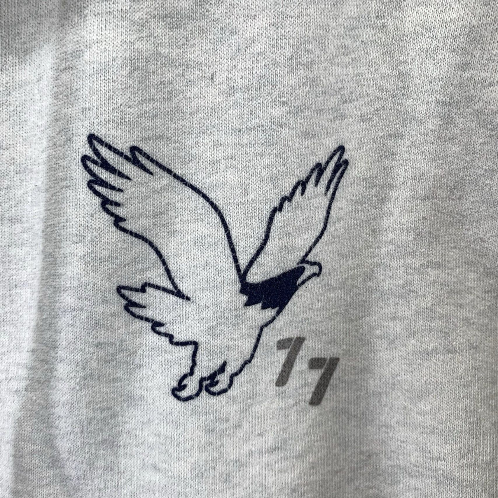 American Eagle Outfitters American Eagle Hoodie Men L Heather Gray Logo Sleeve Pullover Hooded All Seasons Graphic Print Size US L / EU 52-54 / 3 - 4 Thumbnail