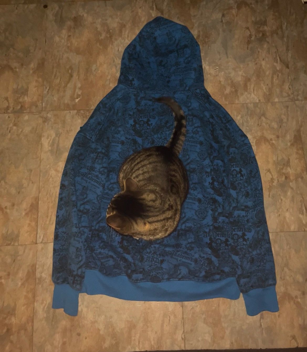 Akademiks VINTAGE Y2K AKADEMIKS ZIP UP/HOODIE Size US L / EU 52-54 / 3 - 7 Thumbnail