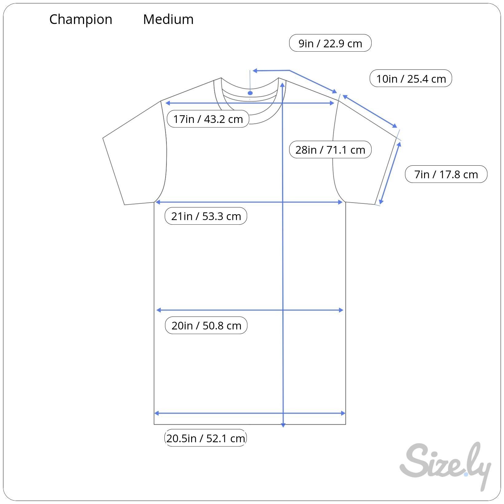 Champion Champion Gray Short-Sleeve T-Shirt Medium Logo Print Activew Size US M / EU 48-50 / 2 - 2 Thumbnail