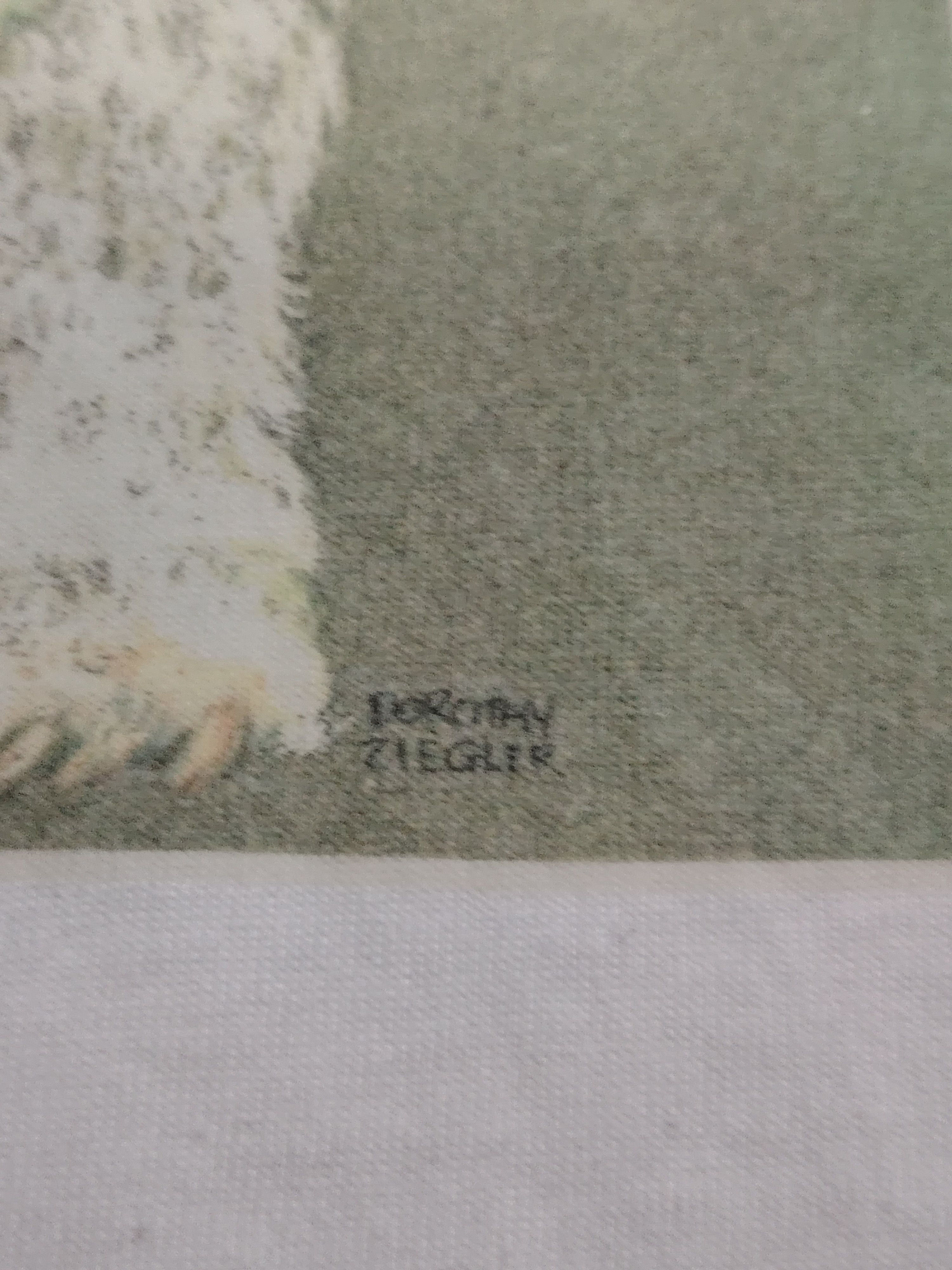 Vintage Vintage DOROTHY ZIEGLER ART BICHON FRISE T-SHIRT Size US L / EU 52-54 / 3 - 5 Thumbnail