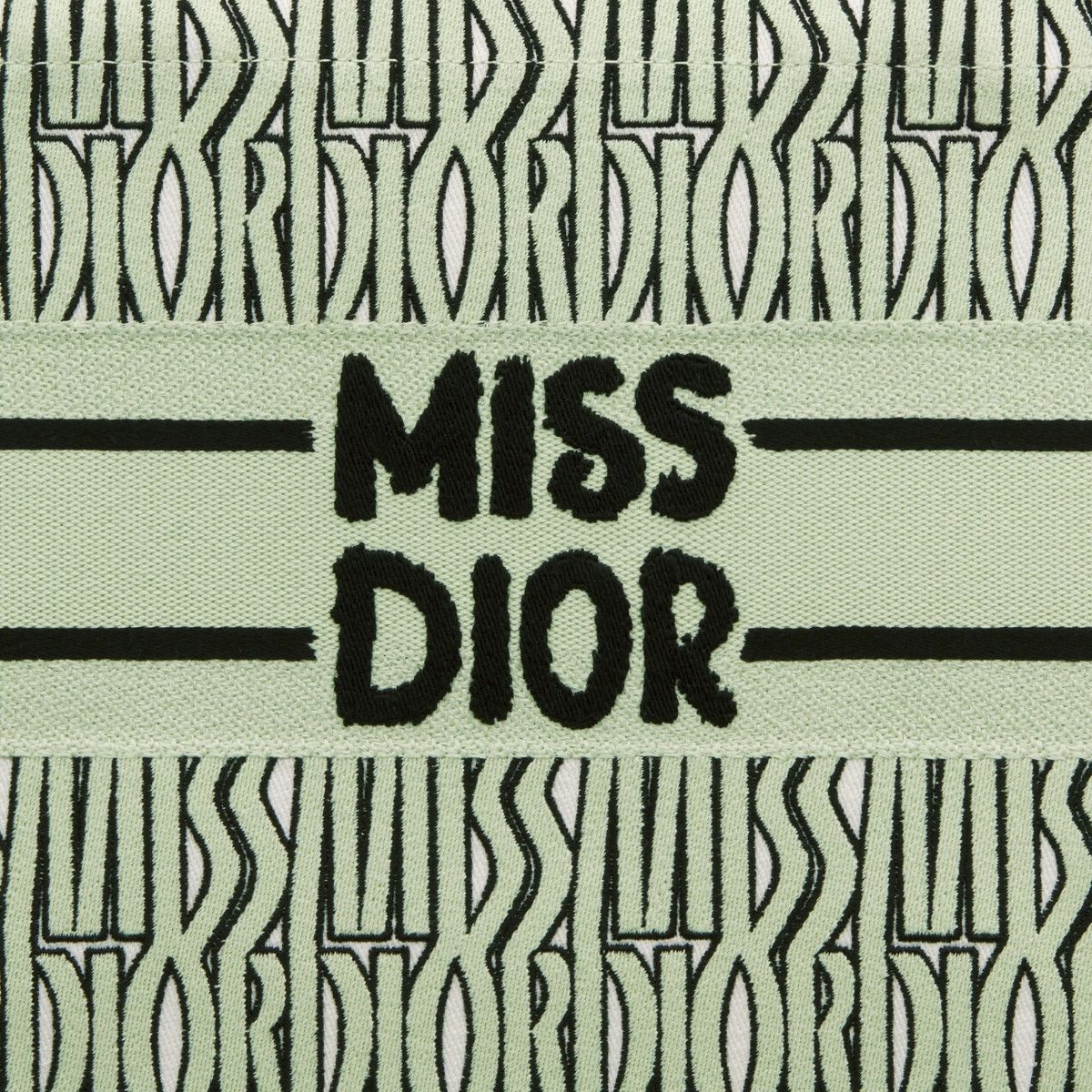 Dior o1bcso1str0226 Size:OS/Medium Book Tote in Pale Green Size ONE SIZE - 5 Thumbnail