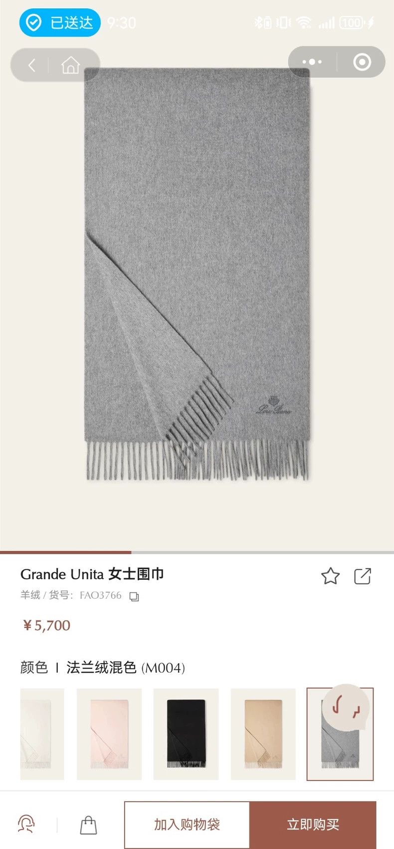 Loro Piana LORO PIANA Cashmere scarf-for both men and women Size ONE SIZE - 1 Thumbnail