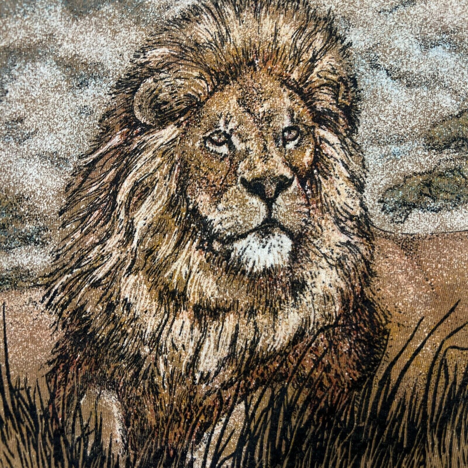 Vintage 90s Lion T Shirt Faded Single Stitched Nature Animal Tee Size US L / EU 52-54 / 3 - 3 Thumbnail
