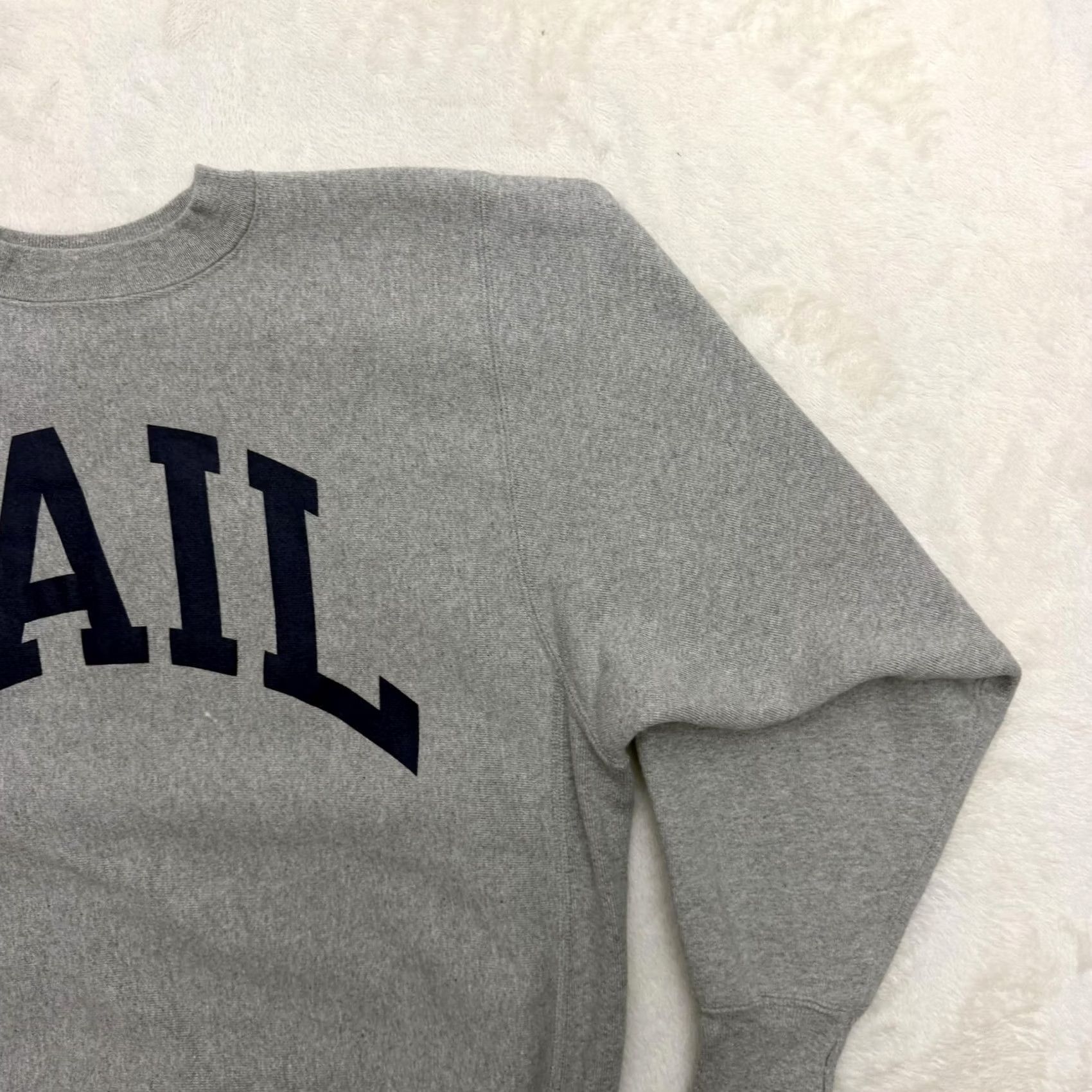 Champion Champion Reverse Weave Colorado Vail Sweatshirt Mens M Gray Ski Fleece Pullover Graphic Print Heavyweight All Seasons Winter Fall Spring Men Size US M / EU 48-50 / 2 - 3 Thumbnail
