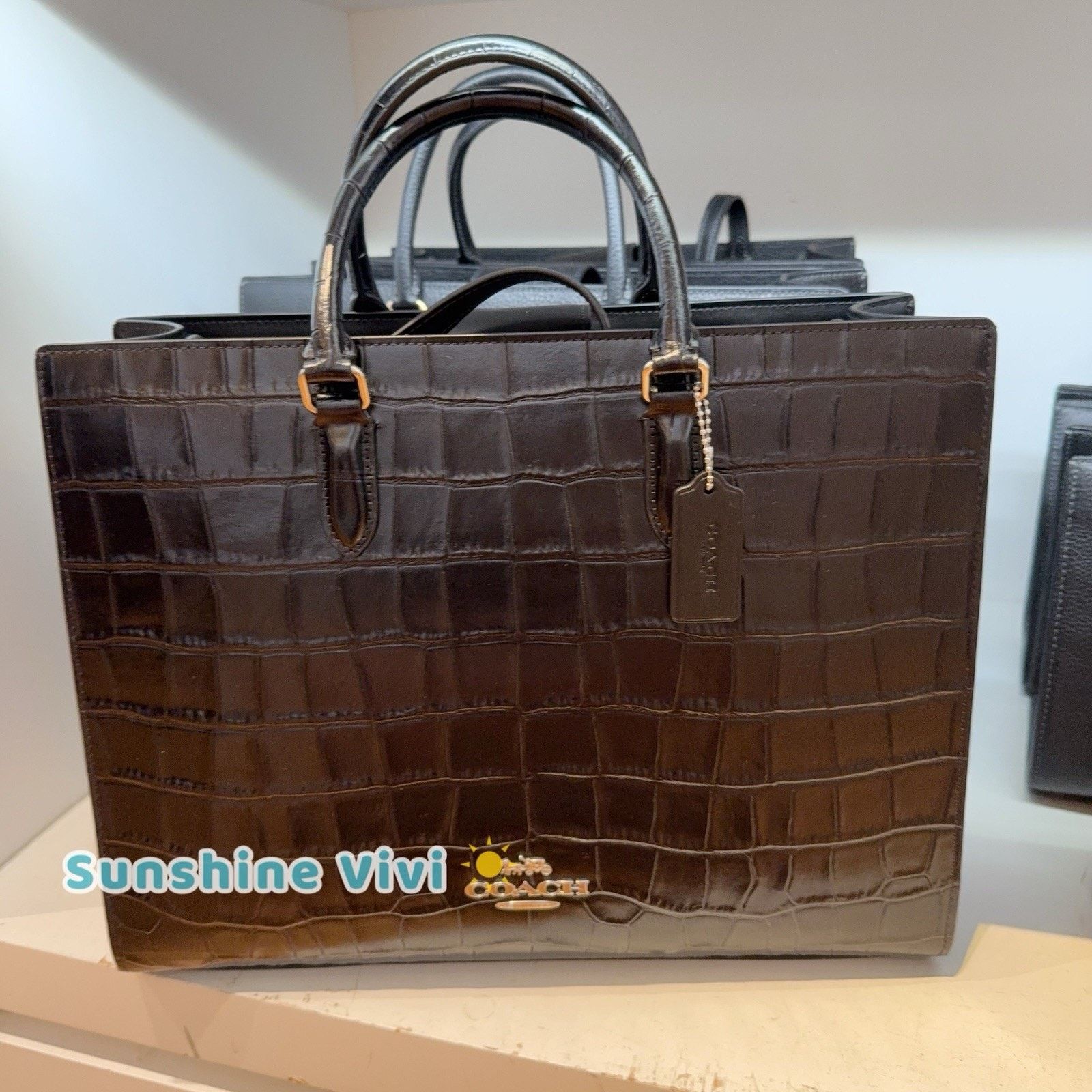 NWT Coach Maggie Small Tote Bag Leather Black CY670