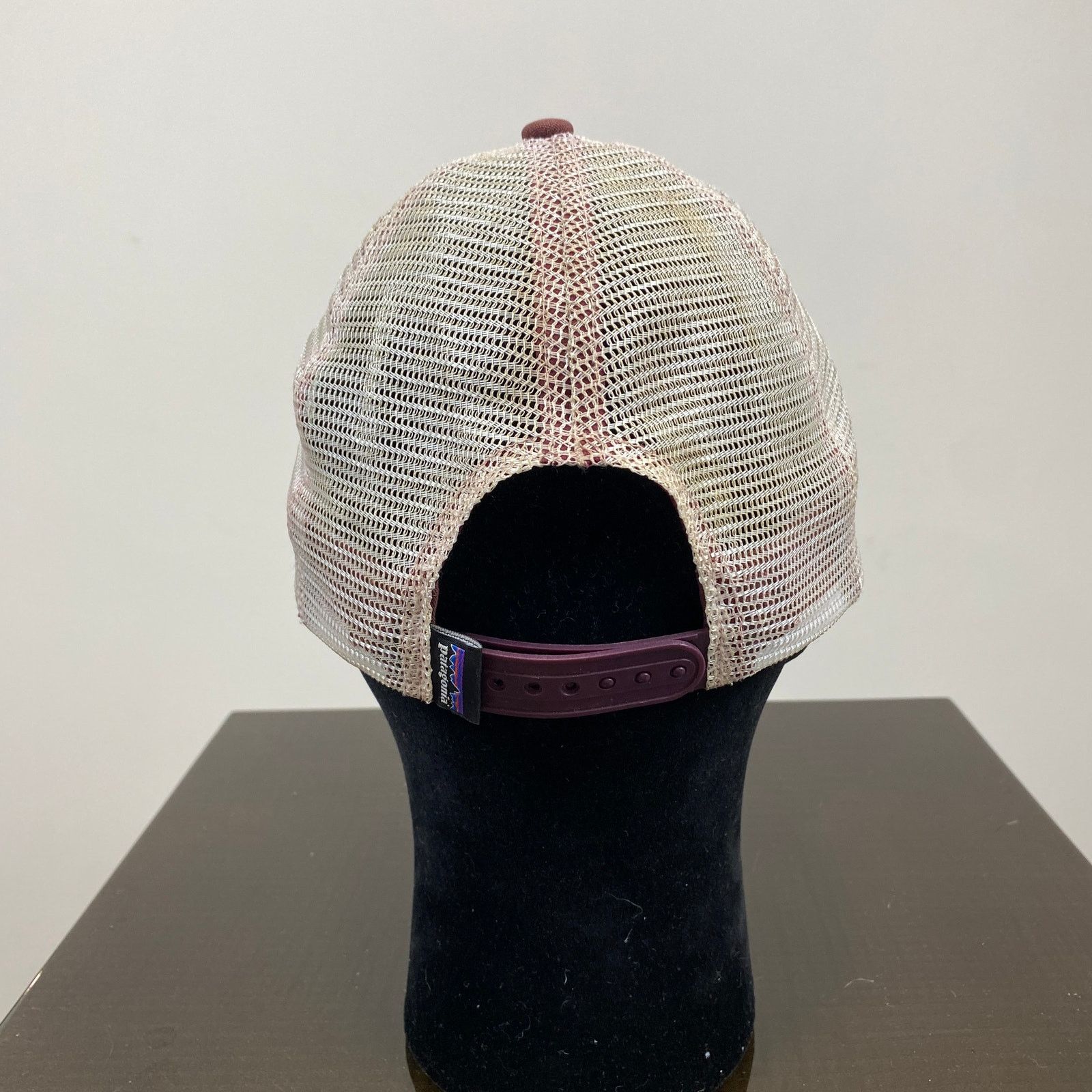 Patagonia Patagonia Fitz Roy Bear Trucker Hat Snapback gorpcore Size ONE SIZE - 4 Thumbnail