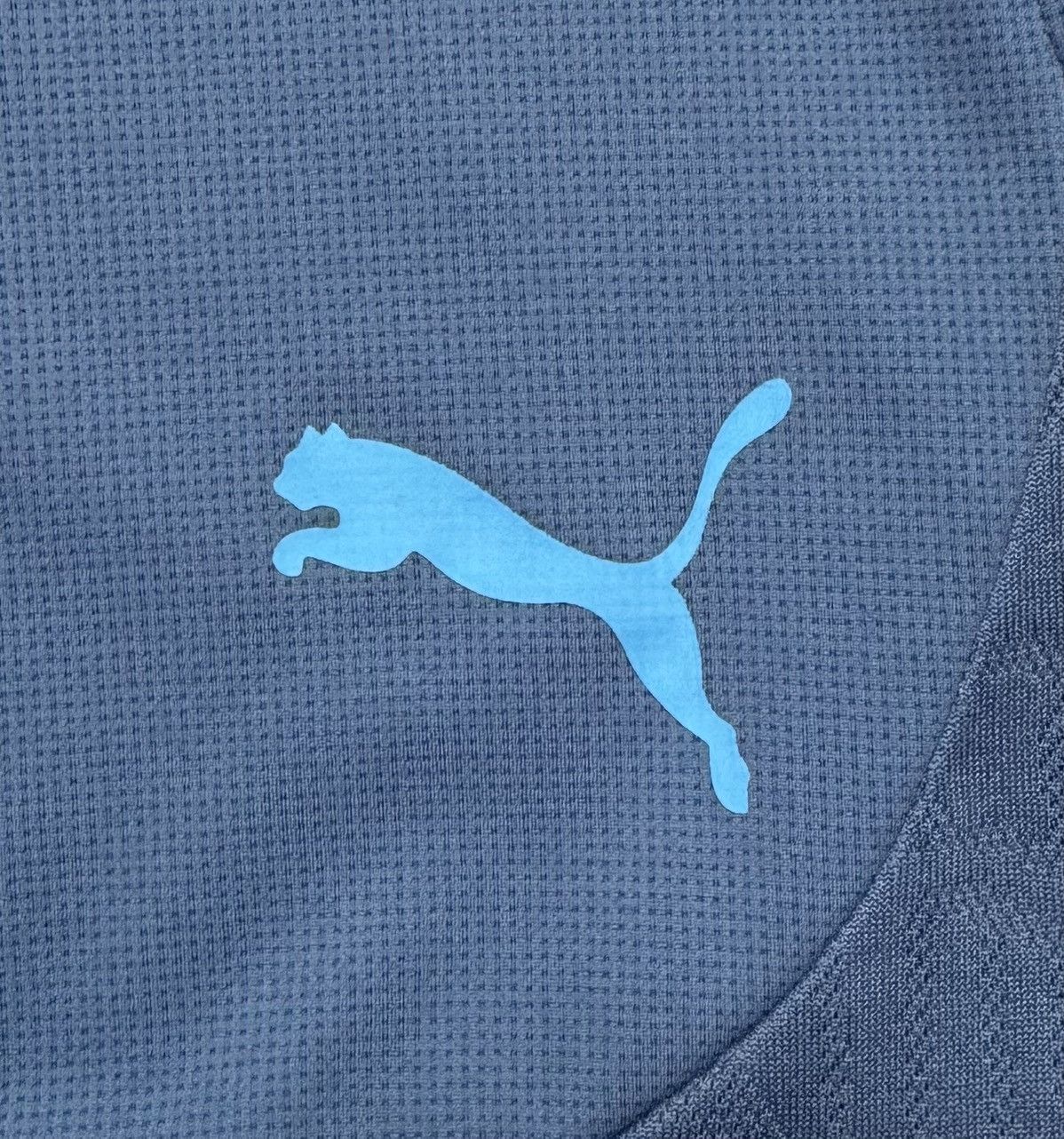 Puma Manchester City 2024 2025 Football Soccer Shorts Puma Size US 32 / EU 48 - 6 Thumbnail