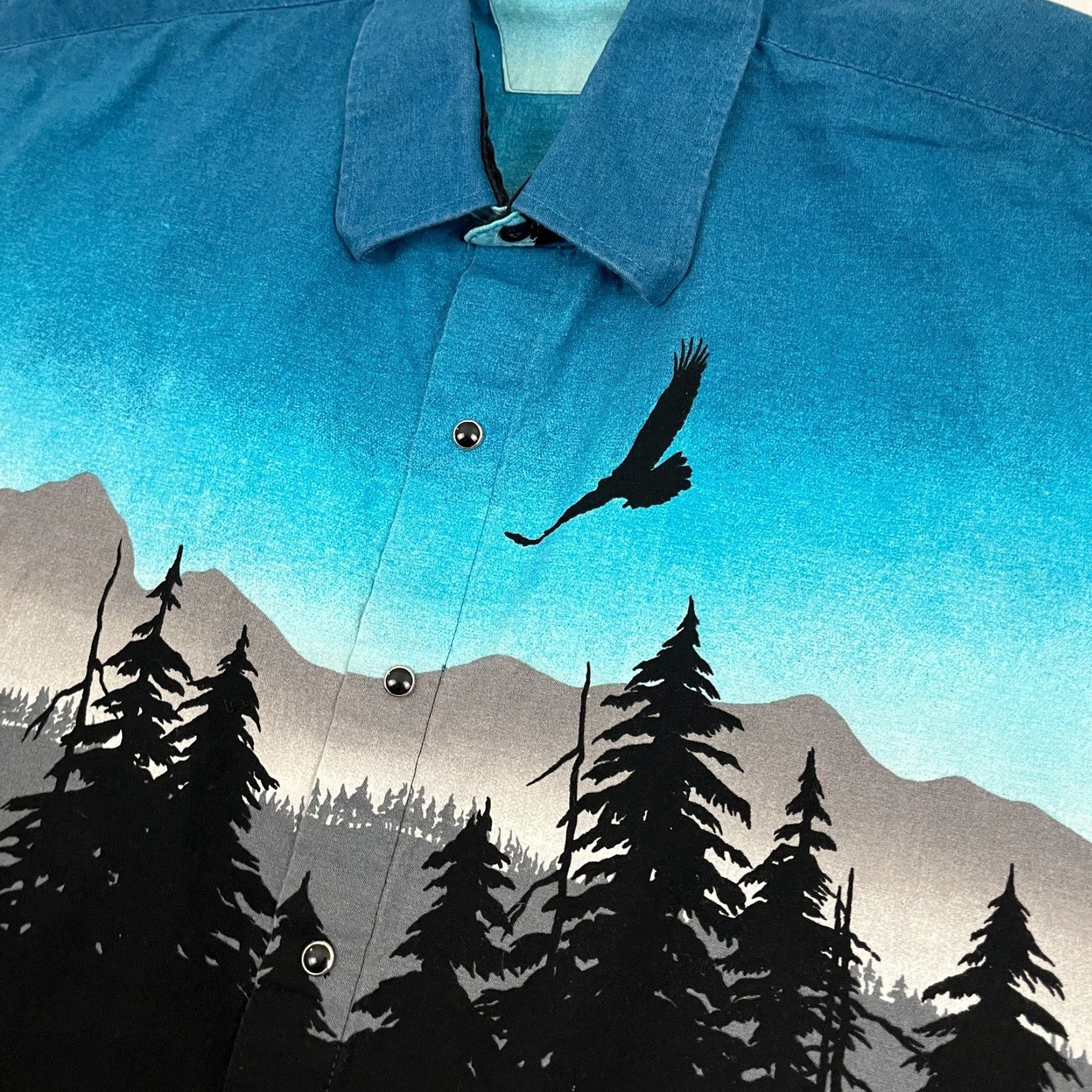 Roper VTG Roper Shirt Men L Blue Pearl Snap Scenic Landscape Eagle Western Rockability Shirt Size US L / EU 52-54 / 3 - 2 Thumbnail