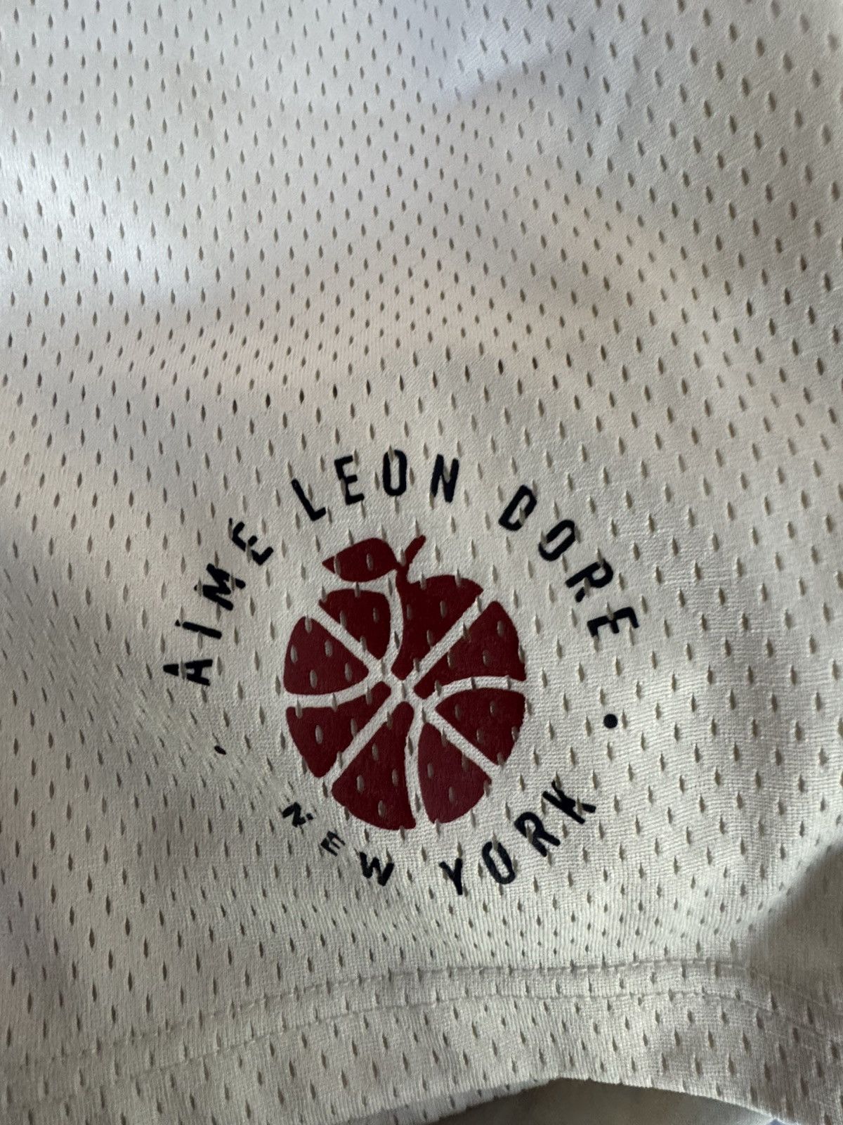 Aime Leon Dore ALD x New Balance Mesh Shorts Size US 32 / EU 48 - 2 Thumbnail
