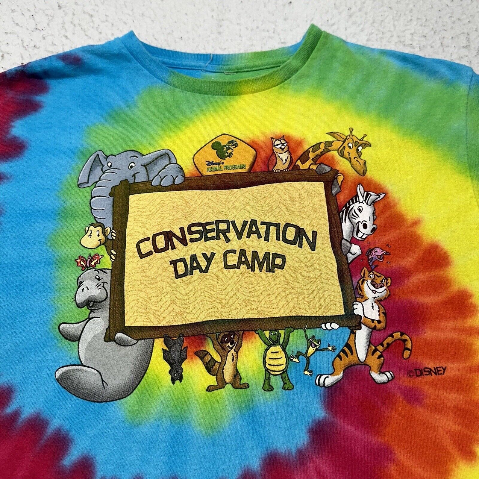 Disney Disney Medium Conservation Day Camp Tie Dye Graphic T Shirt Size US M / EU 48-50 / 2 - 2 Thumbnail