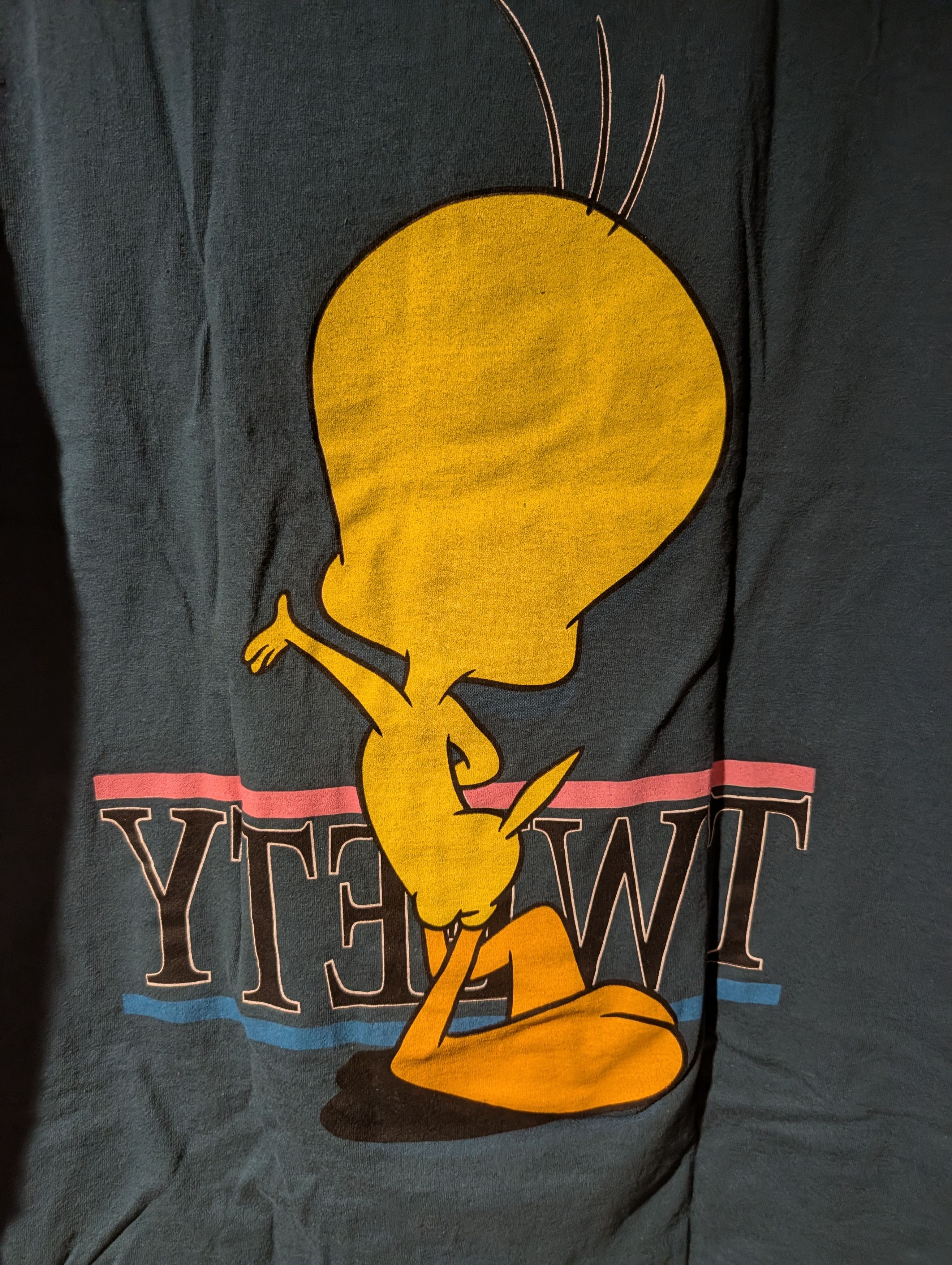 Warner Bros VTG 1996 Tweety Bird Virginia Beach Double Sided T Shirt Size US L / EU 52-54 / 3 - 8 Thumbnail