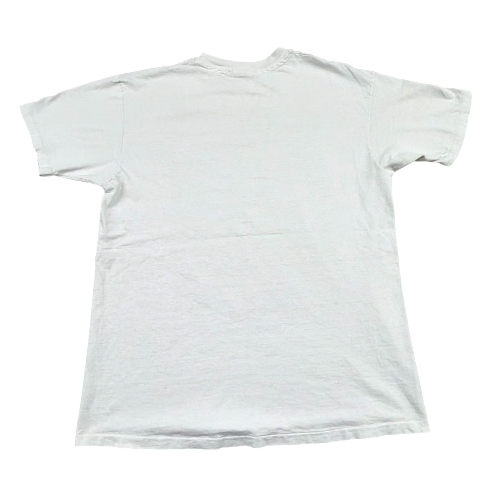 Hanes VINTAGE R. Del Rio Parrot Nature T Shirt Men's XL White Single Stitch USA 90s Hanes Size US XL / EU 56 / 4 - 2 Thumbnail