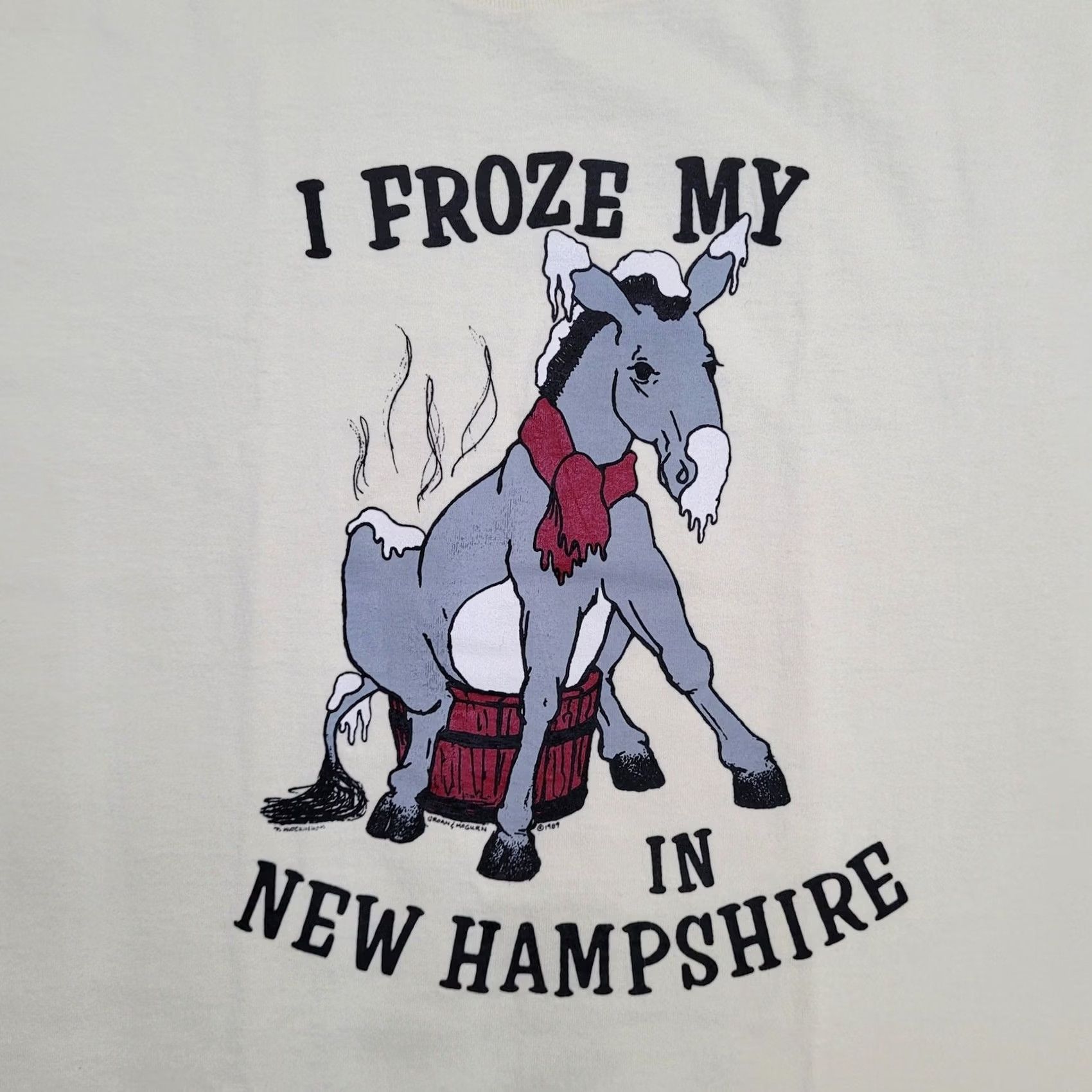 Vintage VINTAGE 1989 Funny Donkey Shirt Large 21x28 New-Hampshire Screen Stars TeE Shirt: Logo, Letters & Numbers, 80s 90s Donkey Graphic Mens XL Size US L / EU 52-54 / 3 - 7 Thumbnail