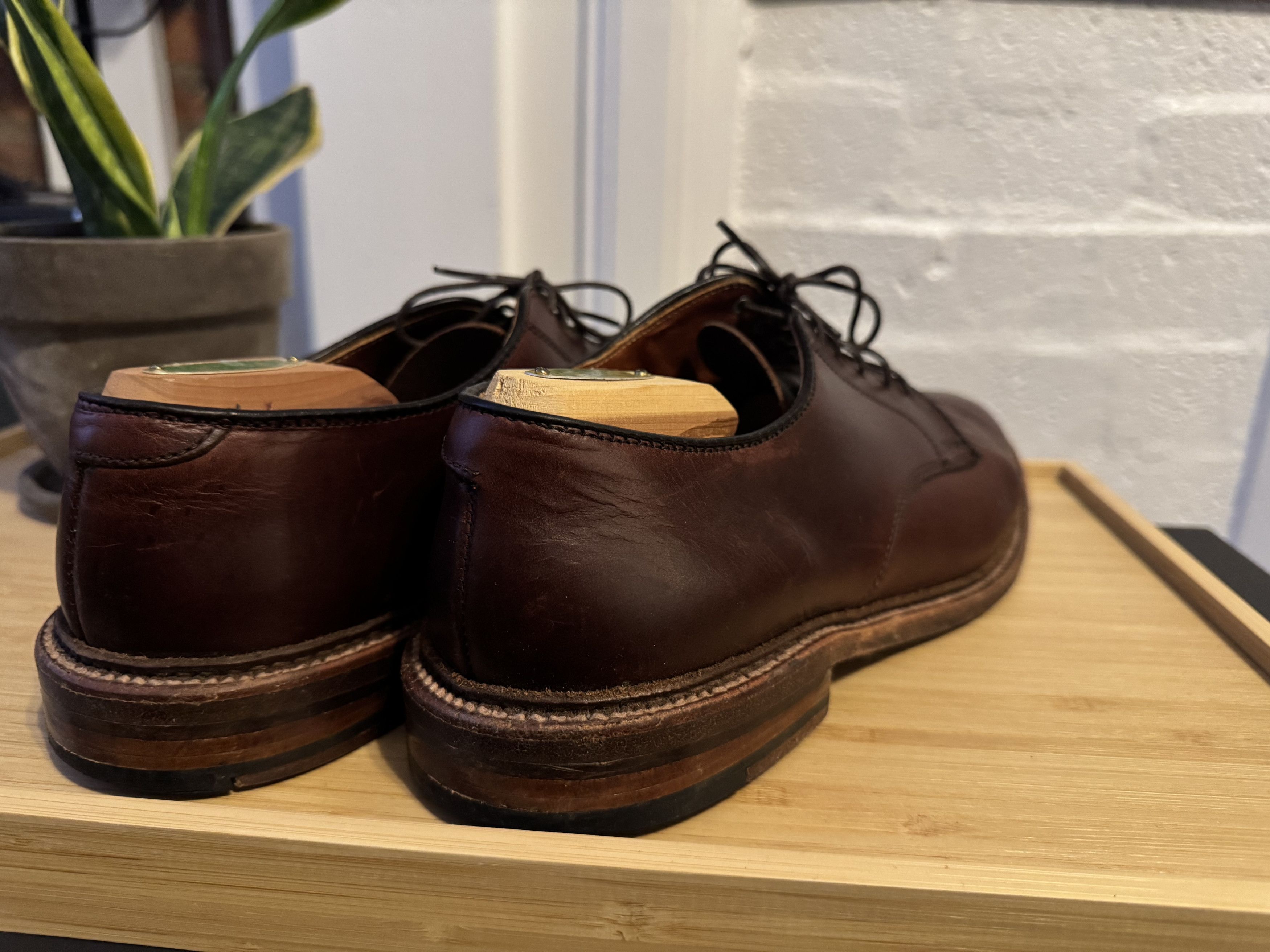 Alden Alden Unlined Plain Toe Blucher Size US 9.5 / EU 42-43 - 3 Thumbnail