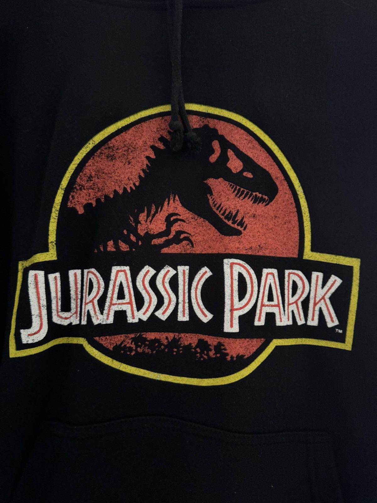 Universal Studios Universal Studios Jurassic Park Hoodie Size US XL / EU 56 / 4 - 2 Thumbnail