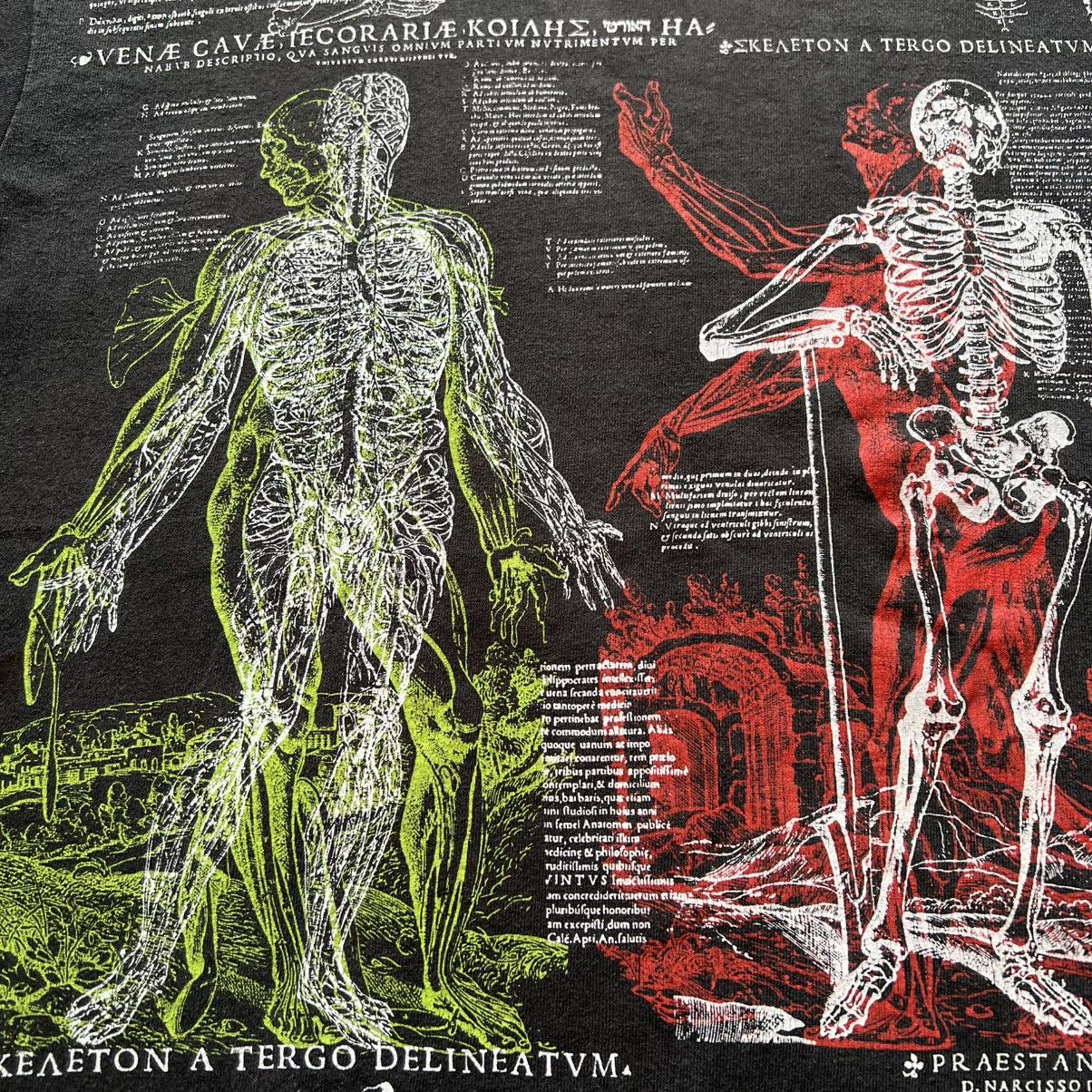 Fruit Of The Loom VTG ‘90s Andreas Vesalius Man Anatomy Art Tee Shirt Size US L / EU 52-54 / 3 - 7 Thumbnail