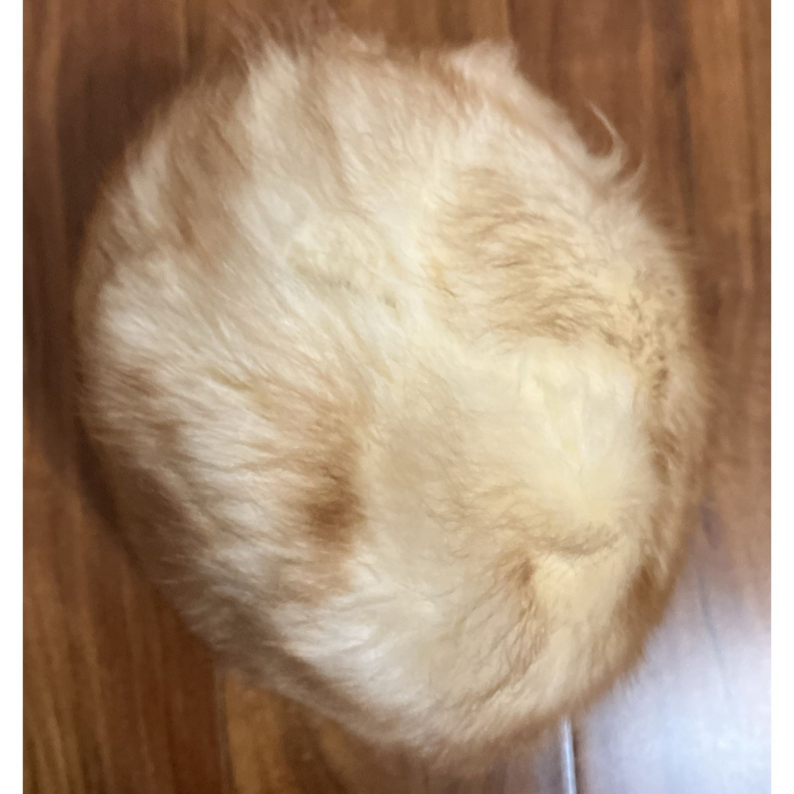 Other Cone Beehive Fur Small Hat Vtg 60s MOD Winter Cap Elegant Size ONE SIZE - 8 Thumbnail