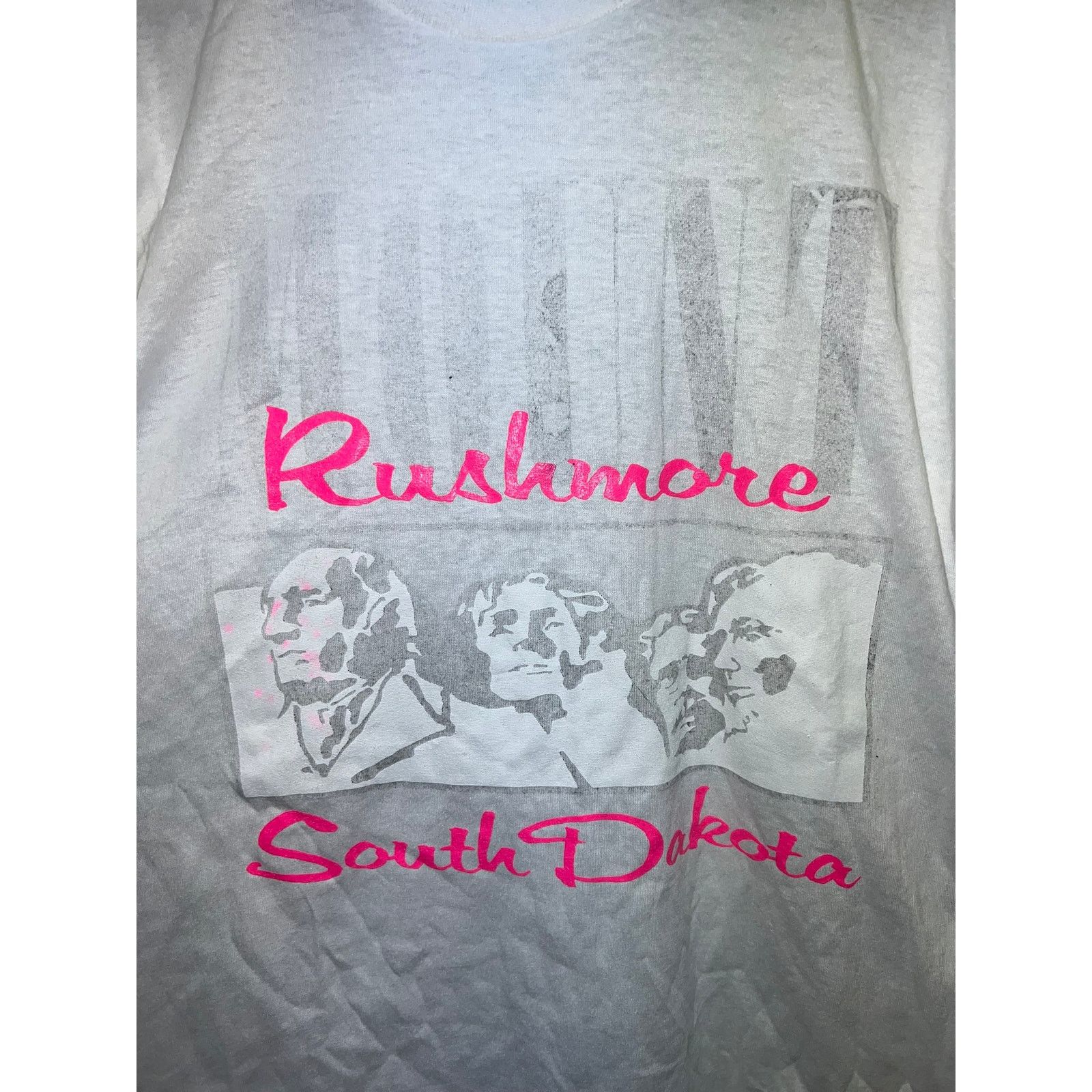 Jerzees Vintage Sample Shirt Mount Rushmore South Dakota Tee 90s L Size US L / EU 52-54 / 3 - 2 Thumbnail
