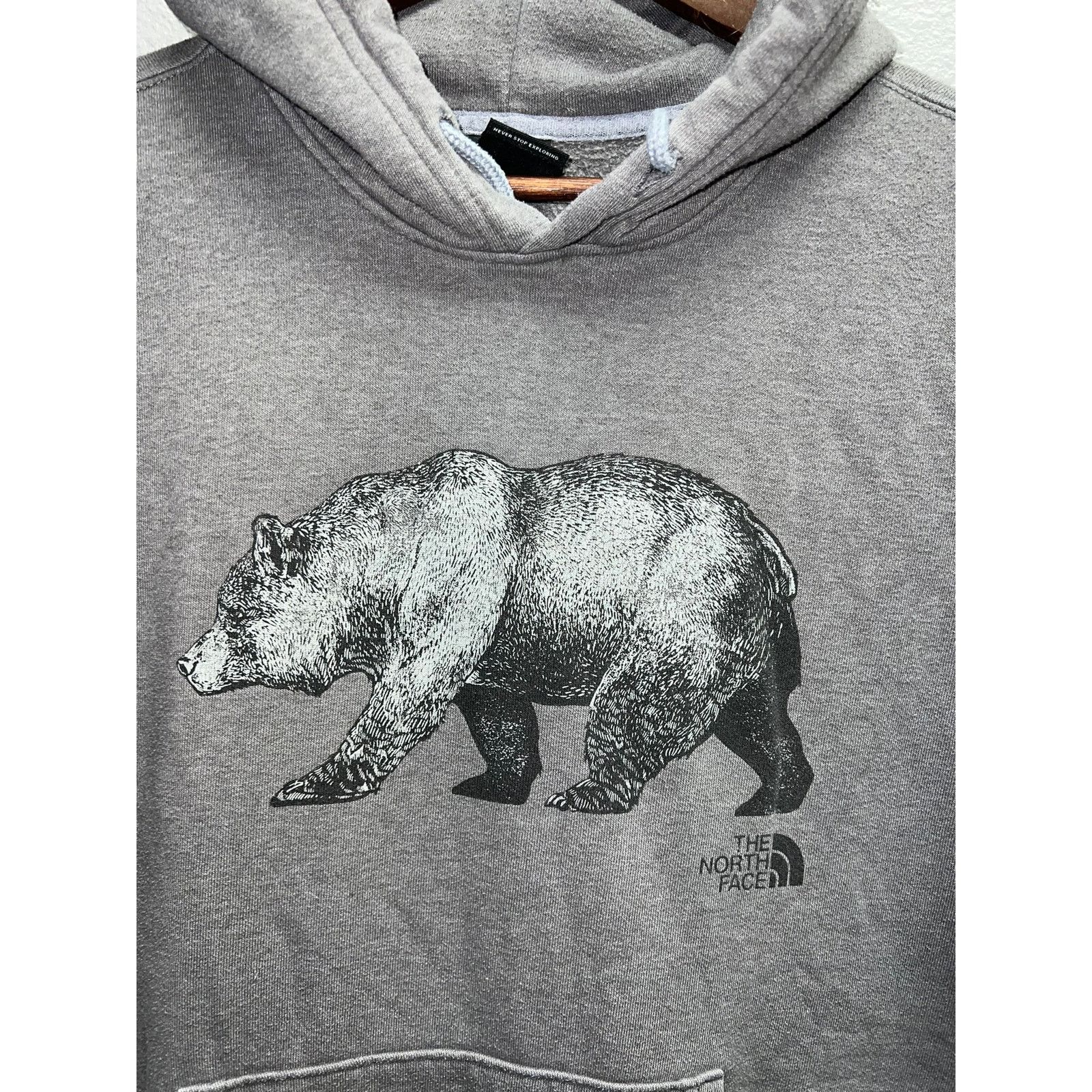 Vintage The North Face Bear Hoodie Grizzly Gray TNF Mens Small Size US S / EU 44-46 / 1 - 2 Thumbnail