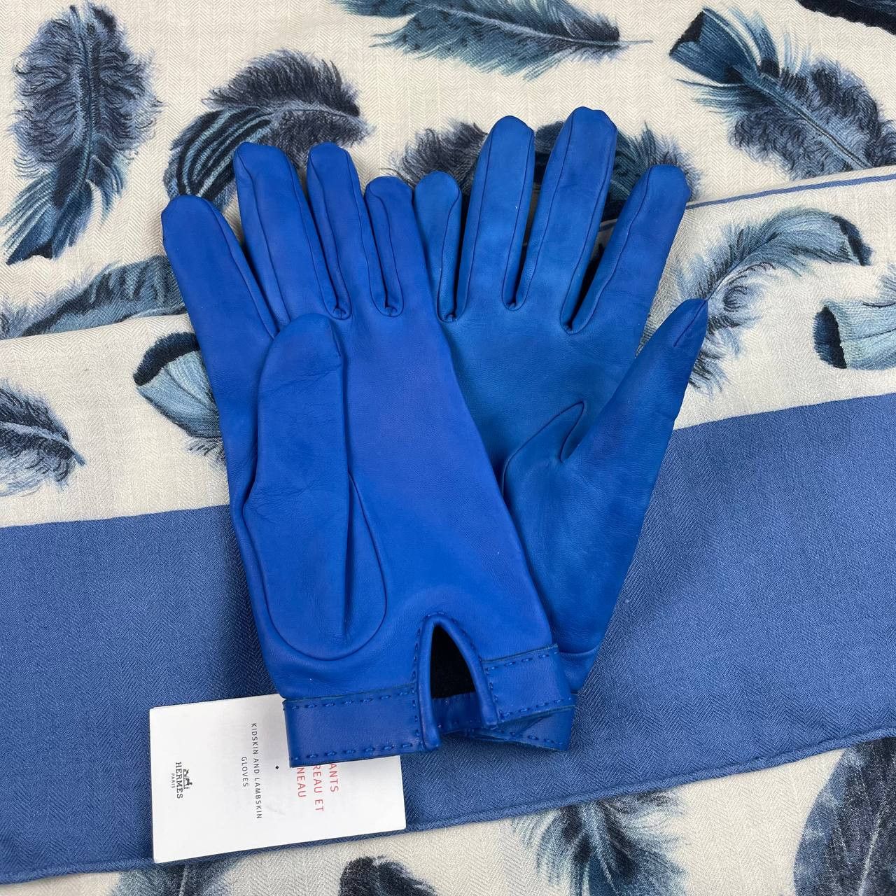 image of Hermes Paris Louise Leather Gloves in Blue, Women's