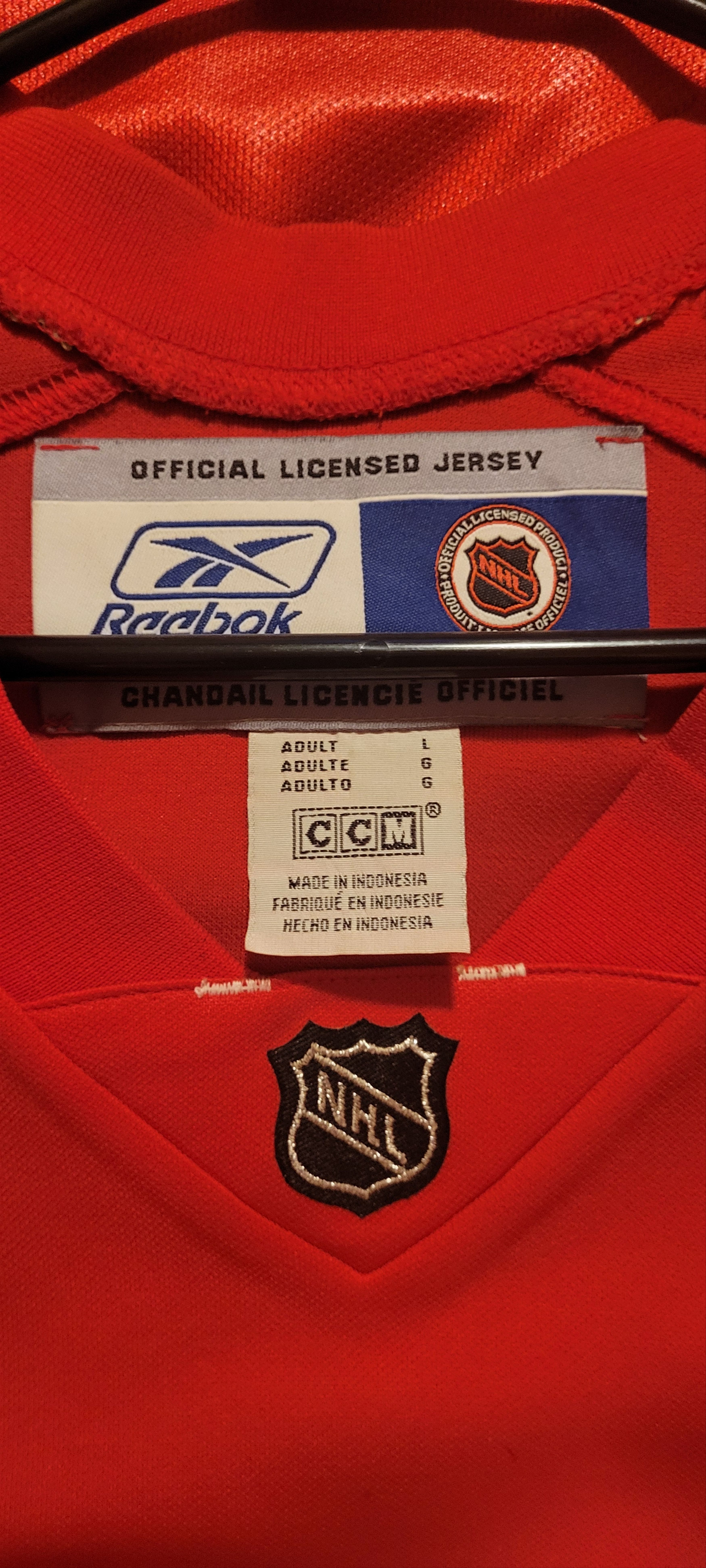Reebok Redwings jersey Size US L / EU 52-54 / 3 - 4 Thumbnail