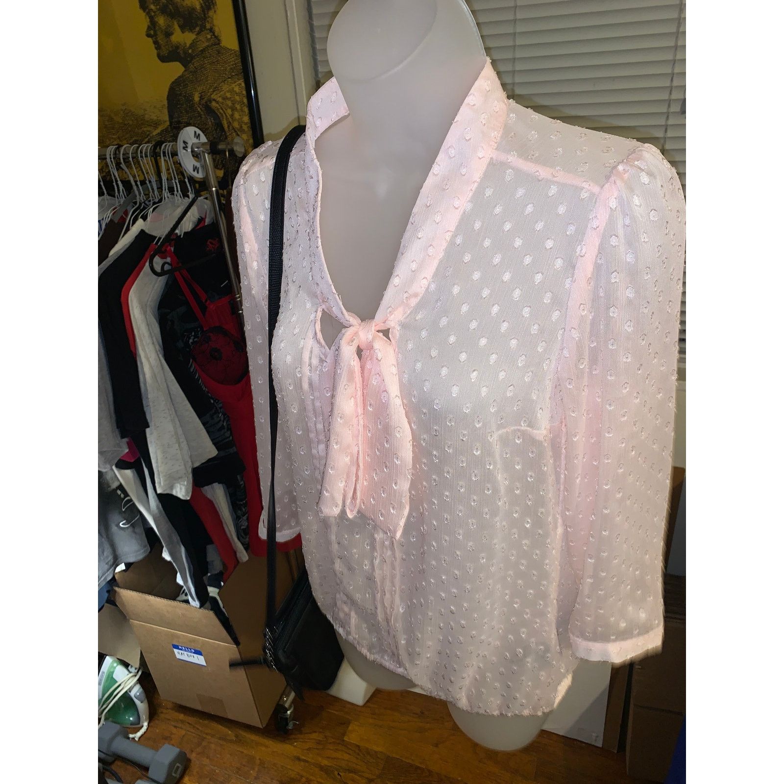 Other RW&CO Sheer Pink Swiss Dot Blouse XS Tie Neck See Through Size XS / US 0-2 / IT 36-38 - 2 Thumbnail