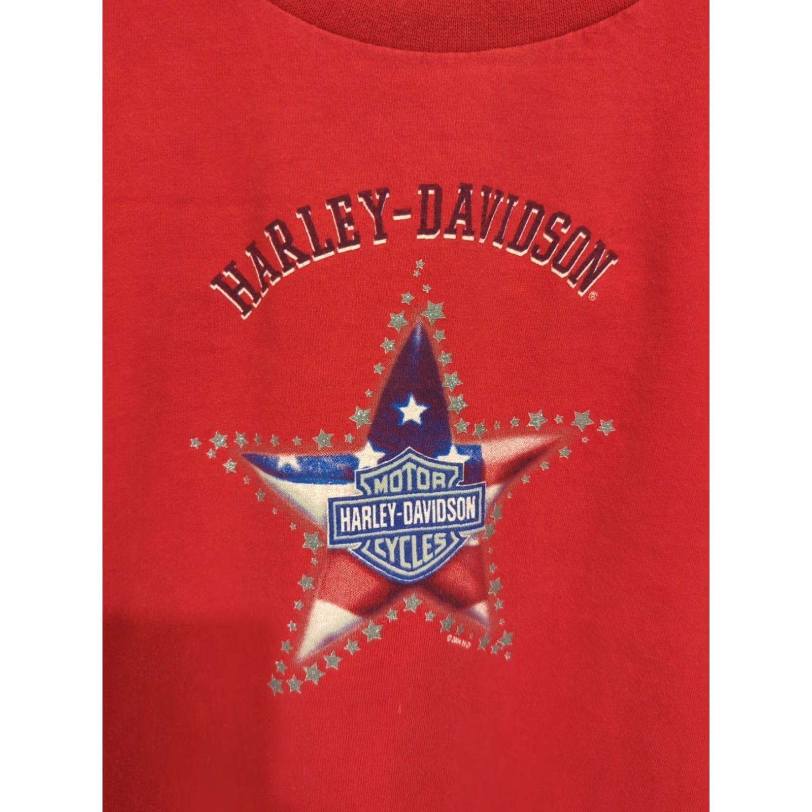 Harley Davidson Harley-Davidson Shirt Womens XL Red Long Sleeve Motorcycle Flag Stars Michigan Size XL / US 12-14 / IT 48-50 - 5 Thumbnail