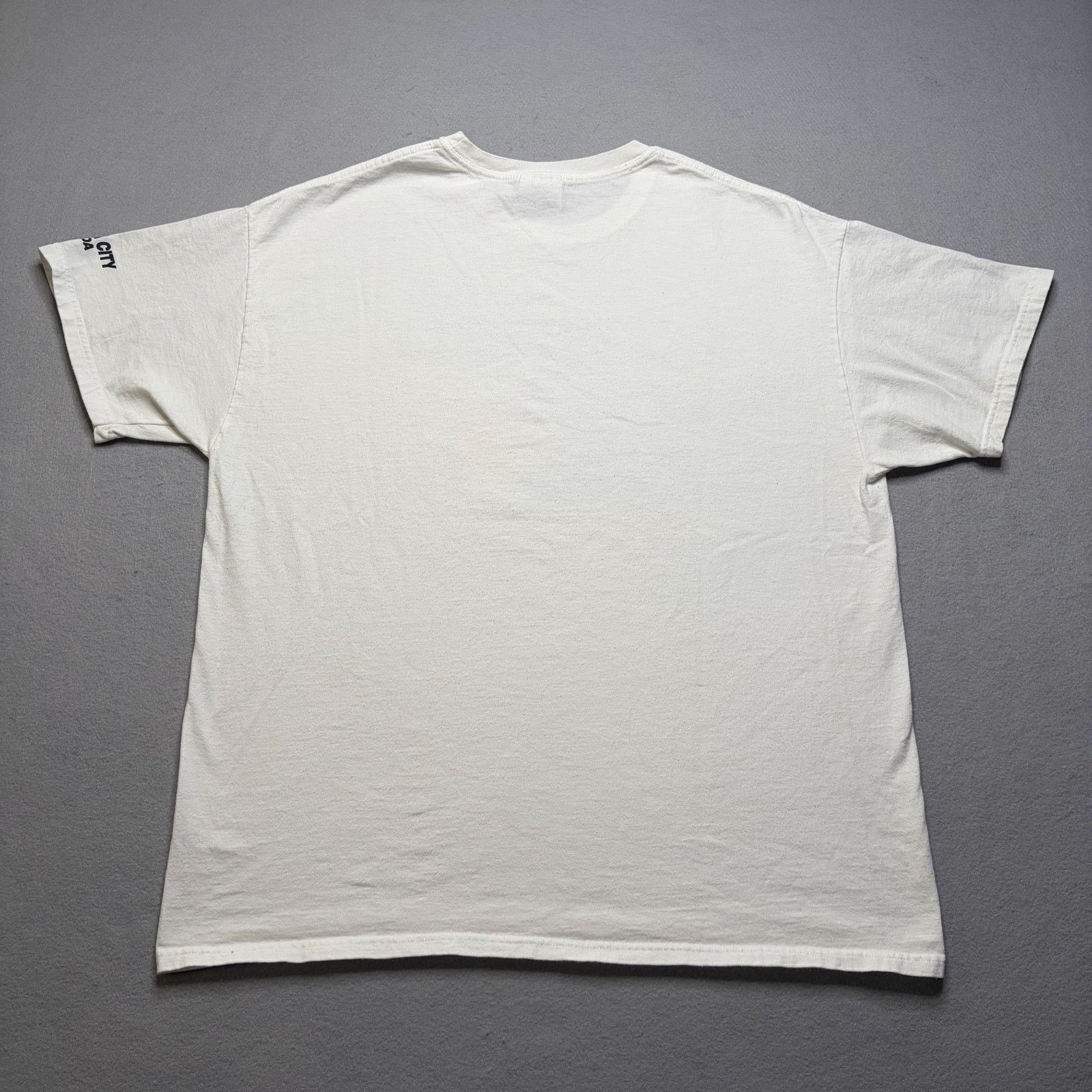Hanes Vintage Retired Graphic T Shirt Men’s XL White Funny Nevada Size US XL / EU 56 / 4 - 7 Thumbnail