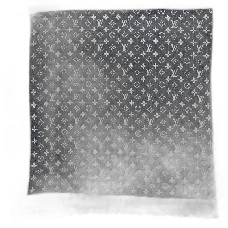 Louis Vuitton Louis Vuitton Double-Sided Wool Silk Shawl Size ONE SIZE - 1 Thumbnail