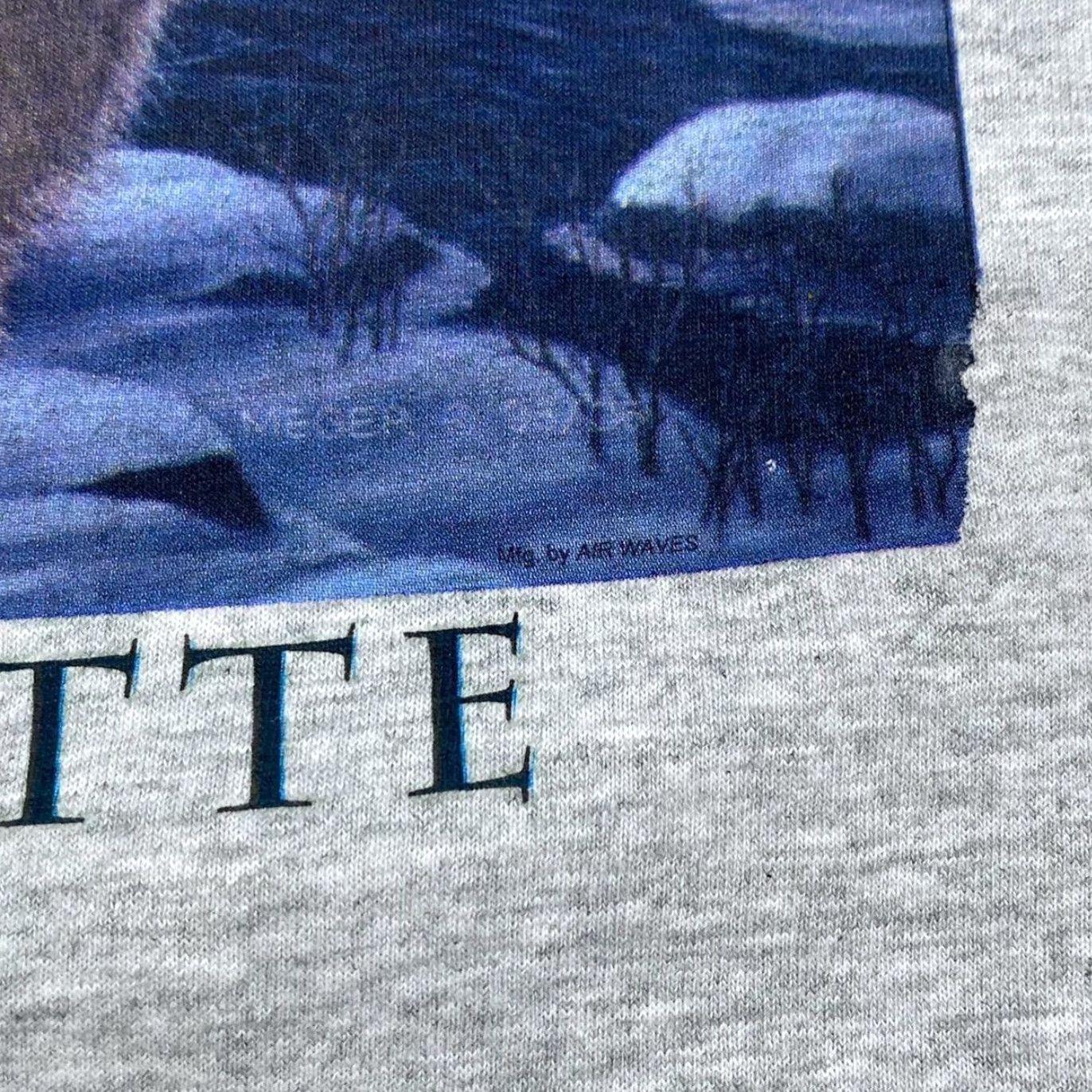 Vintage VINTAGE Screen Stars T-Shirt Wolf Graphic Print Grey XXL Mens Shirt Short Sleeve 1990s - 1999s Size US XXL / EU 58 / 5 - 4 Thumbnail