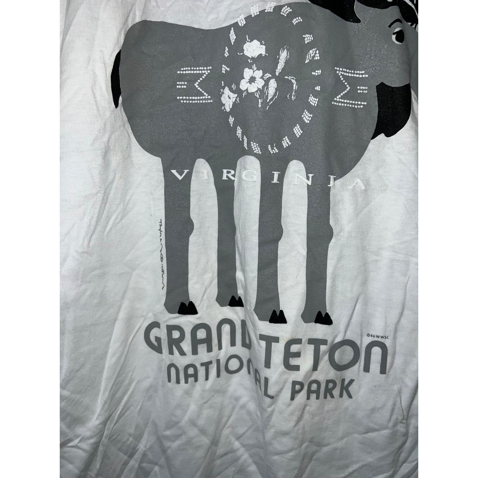 Jerzees Vintage National Park Shirt Test Print Grand Teton Large Size US L / EU 52-54 / 3 - 4 Thumbnail