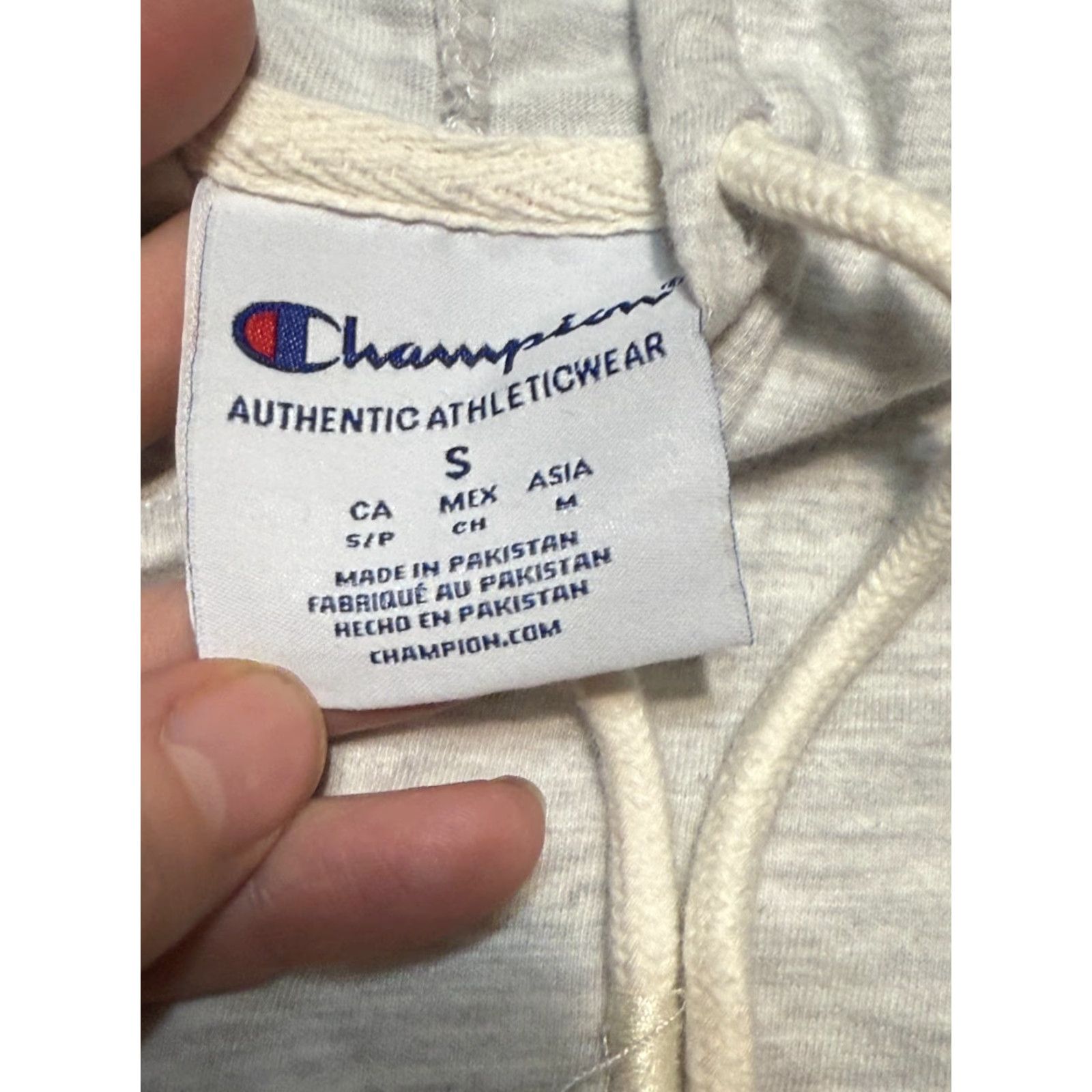 Champion Champion Hoodie Mens Size Small Gray Long Sleeve Pullover Red Wing Printed Size US S / EU 44-46 / 1 - 6 Thumbnail