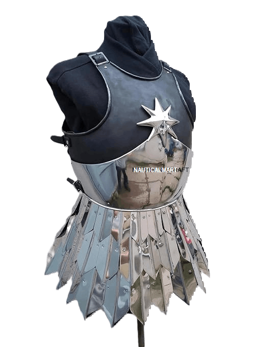 Other Medieval Steel Lady Skirt kastenbrust Size ONE SIZE - 3 Thumbnail