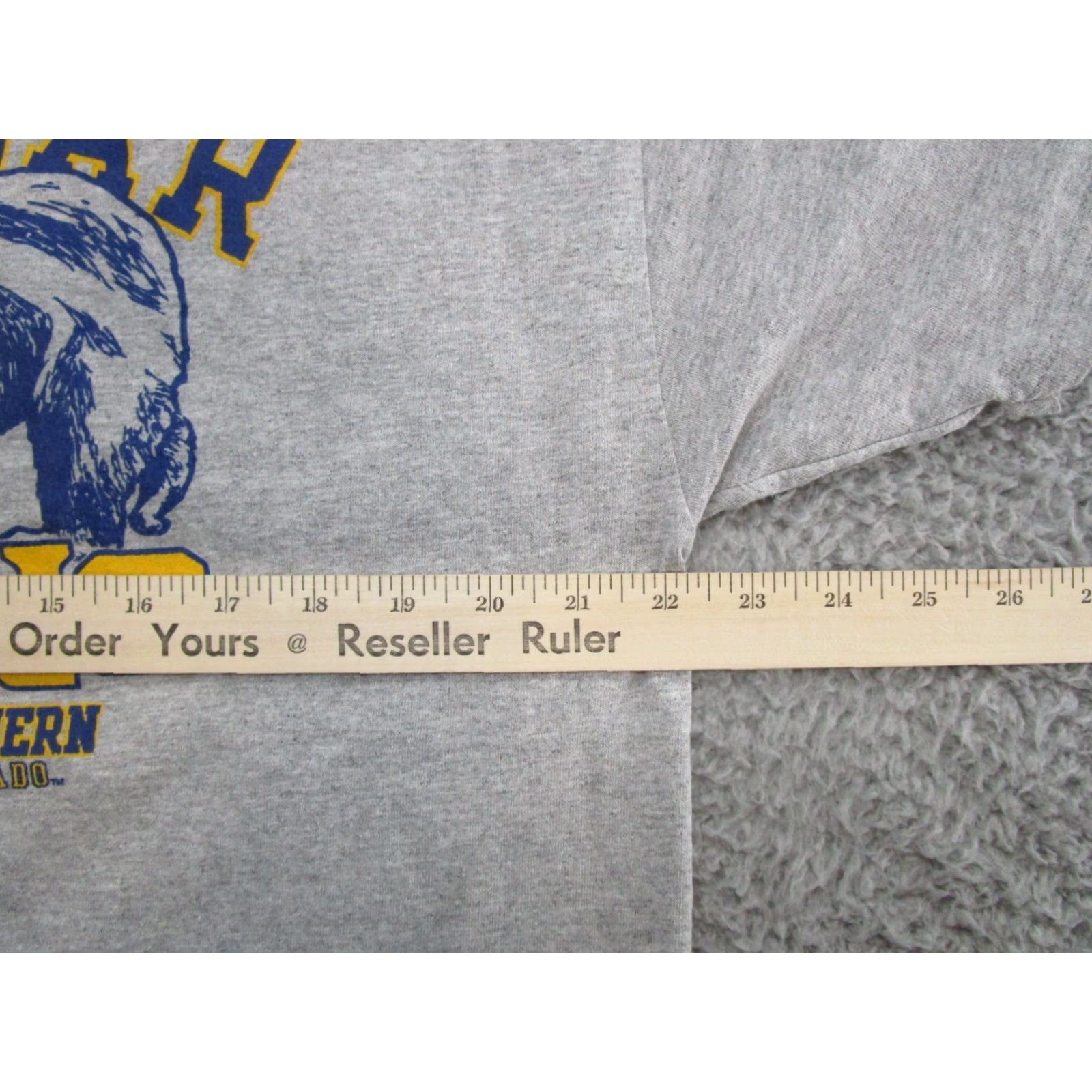Champion Champion UNC Dad Papa Bear Shirt XL Gray Mens T-Shirt Short Sleeve Baseball University of Northern Colorado 90s? Size US XL / EU 56 / 4 - 6 Thumbnail