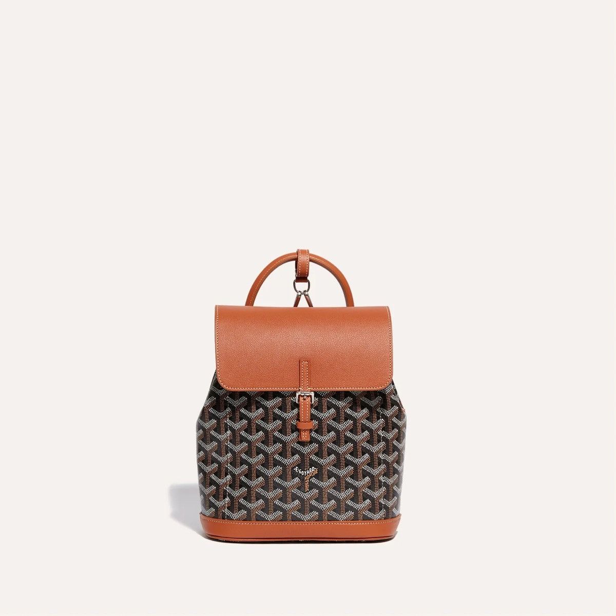 Goyard Alpin mini backpack Size ONE SIZE - 2 Thumbnail