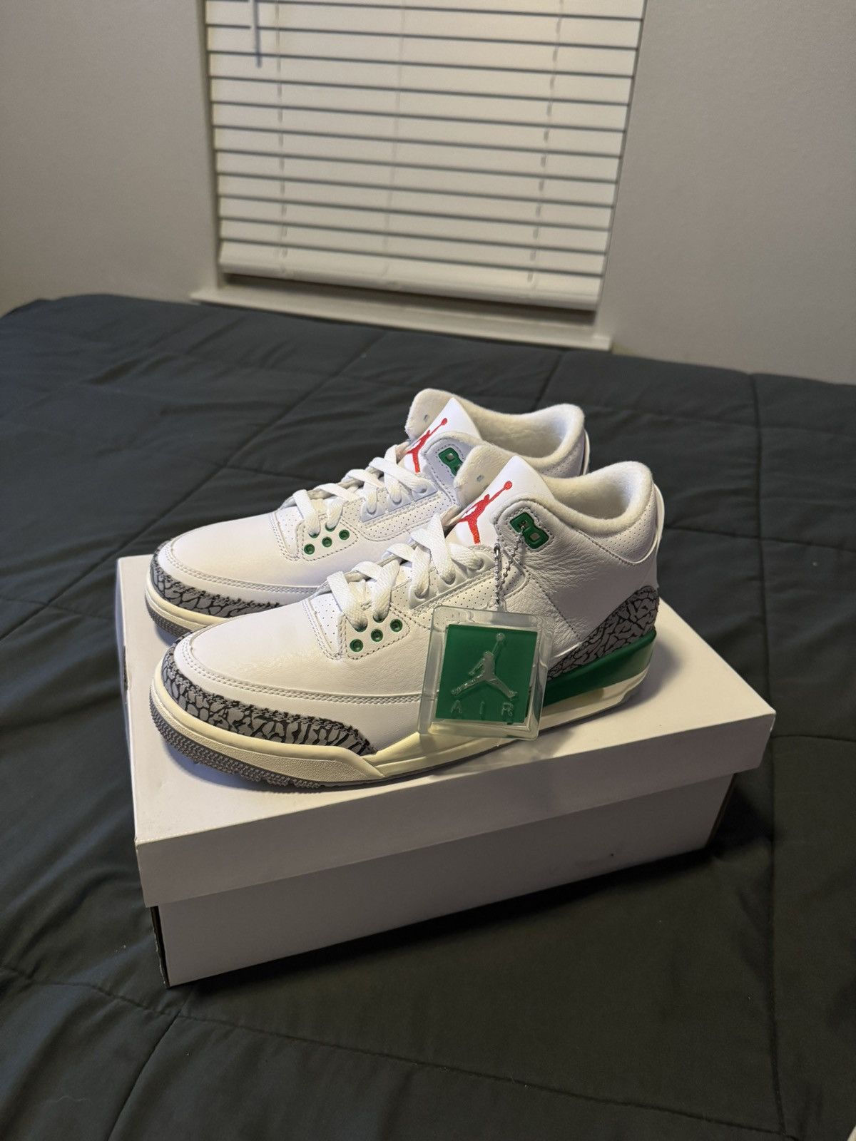 Jordan Brand Jordan 3 “Lucky Green” Size US 7.5 / EU 40-41 - 1 Thumbnail