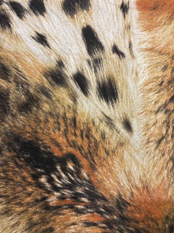 Just Cavalli × Vintage 2000s Cavalli Fur Effect Savage Top Size M / US 6-8 / IT 42-44 - 6 Thumbnail